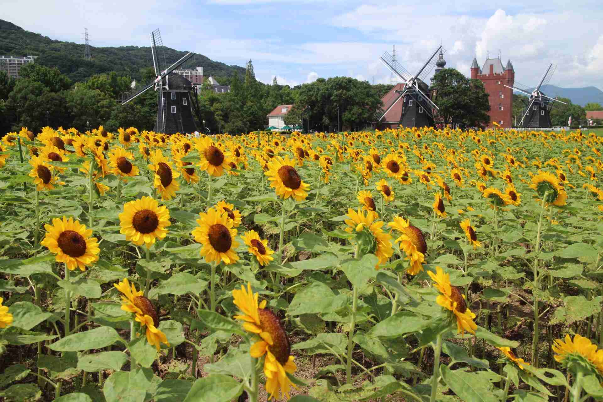 ハウステンボス好きな人