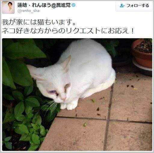 「人生観の違いですね」蓮舫参院議員が離婚 「週刊文春」に理由語る