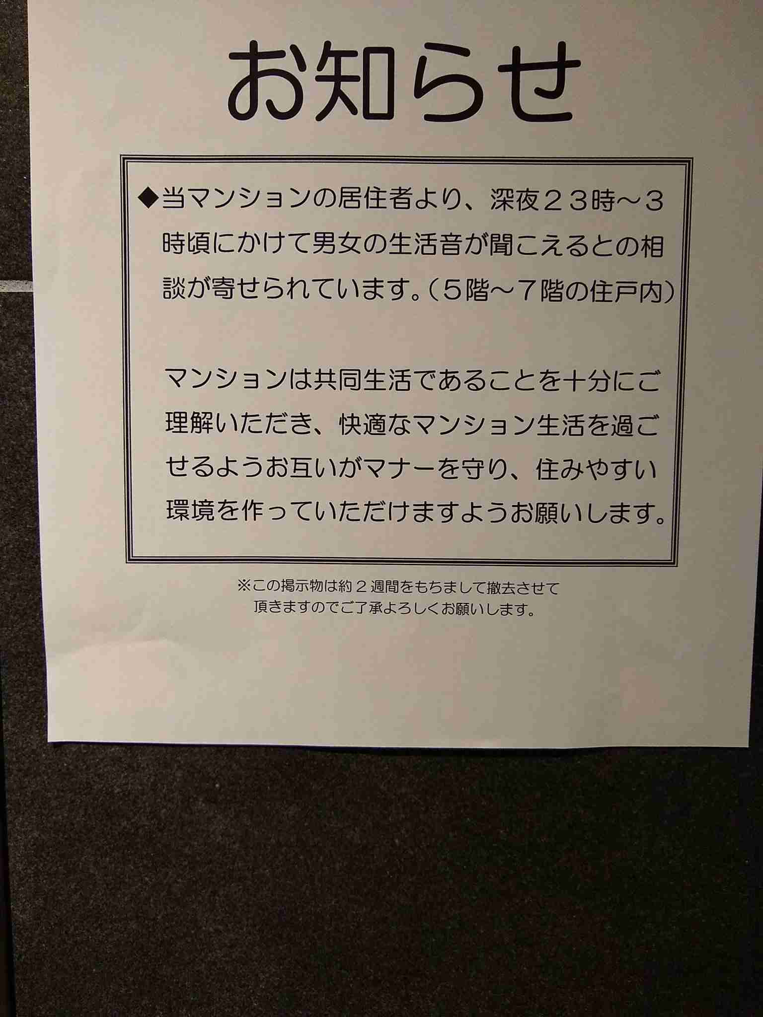音がうるさい