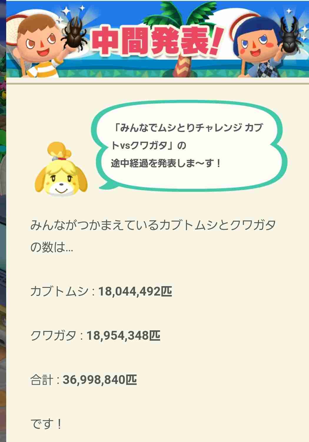 【ポケ森】どうぶつの森ポケットキャンプ【part33】