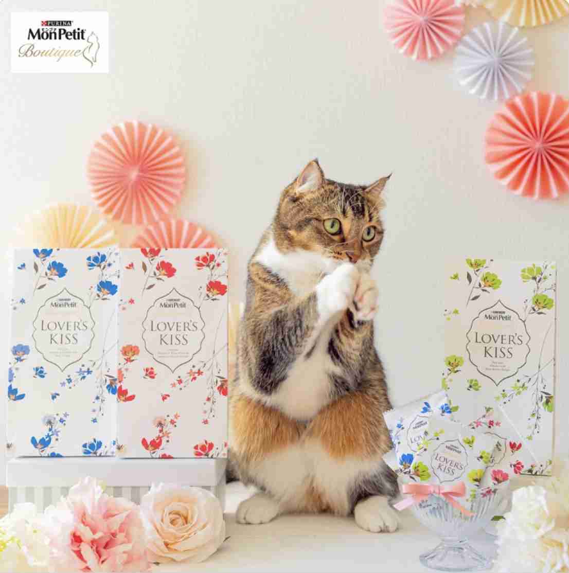 【画像】いろんな三毛猫大集合