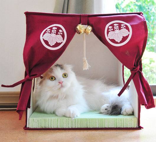 【画像】いろんな三毛猫大集合
