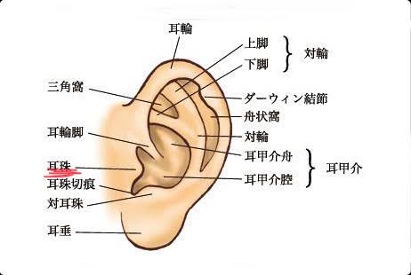 赤ちゃんが寝る・泣き止む曲