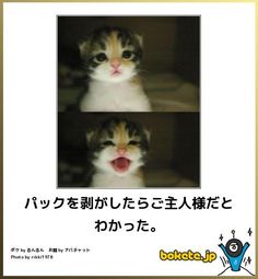 観月ありさ　自身の秘密バラした俳優を告白「ひた隠しにしていた努力が無に…」