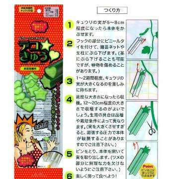 会社を辞めて農業を始めた父親　変わったキュウリの形に海外からも反響が上がる