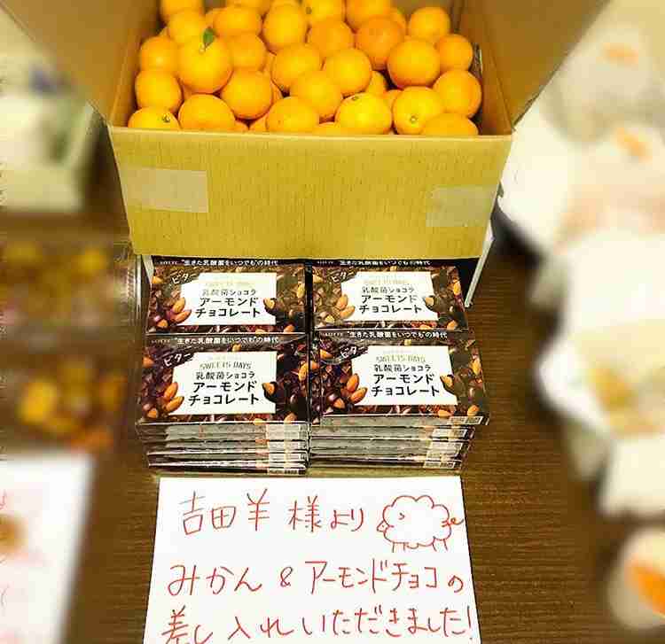 芸能人の差し入れが見たい Part9 ガールズちゃんねる Girls Channel