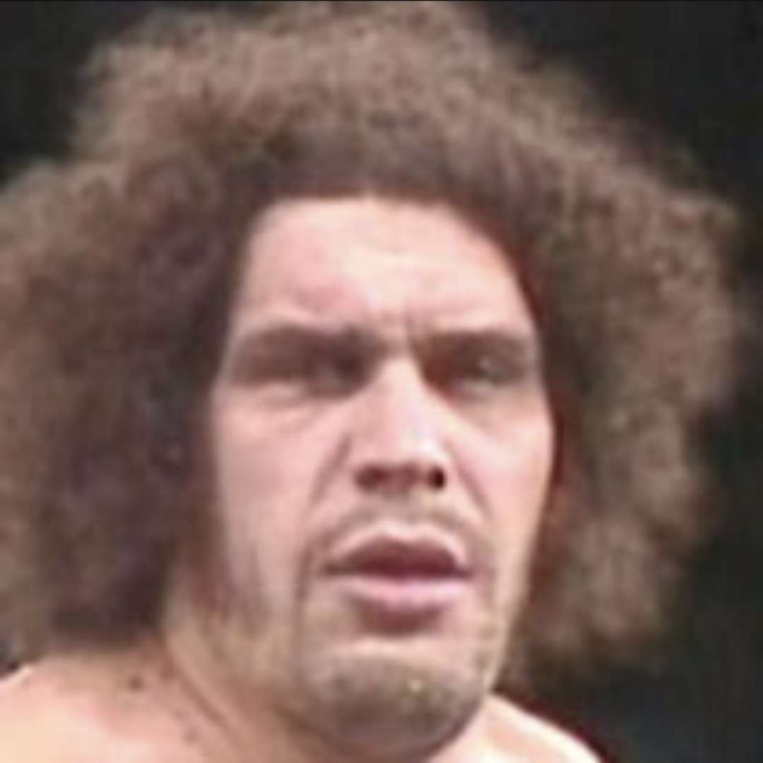 新日本プロレスが好きな人‼️