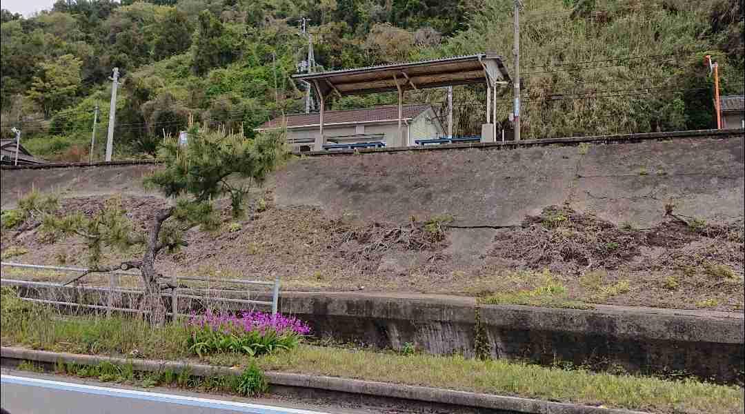 愛媛県の良い所を教えてください
