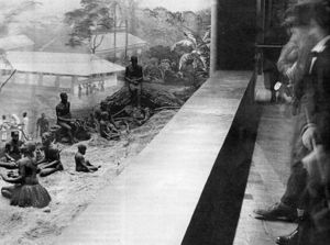 アフリカ人男性をサル舎で見せ物に　NYの動物園、114年後に謝罪