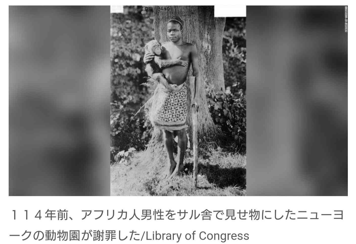 アフリカ人男性をサル舎で見せ物に　NYの動物園、114年後に謝罪