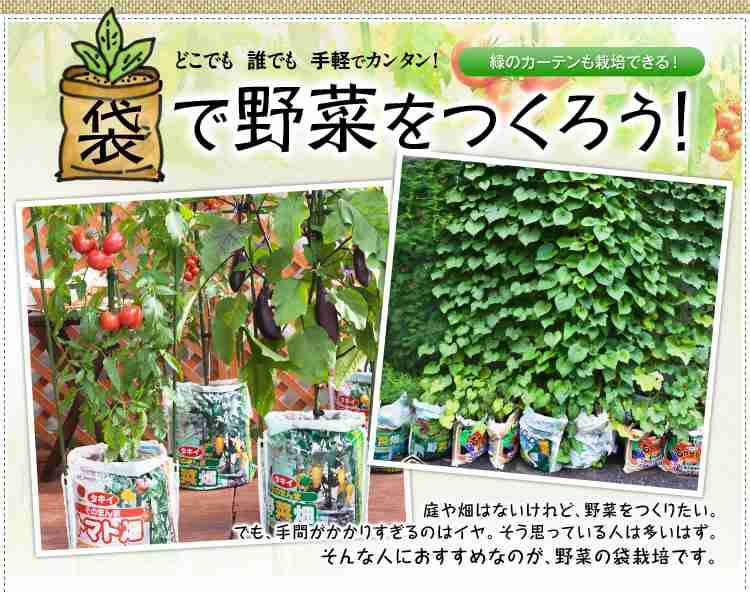 低収入のやりくり、趣味