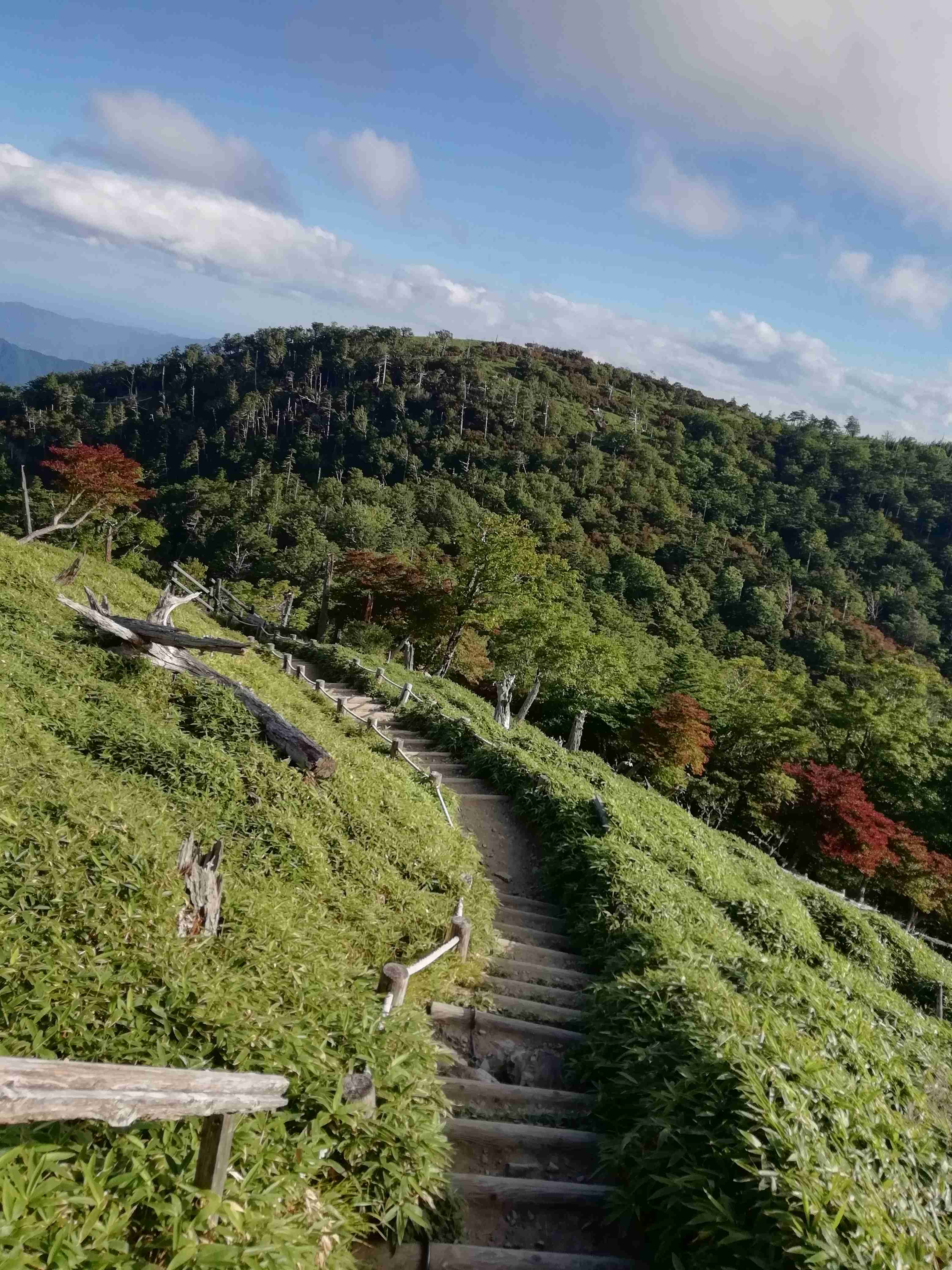 スマホに入ってる旅先の写真見せてください