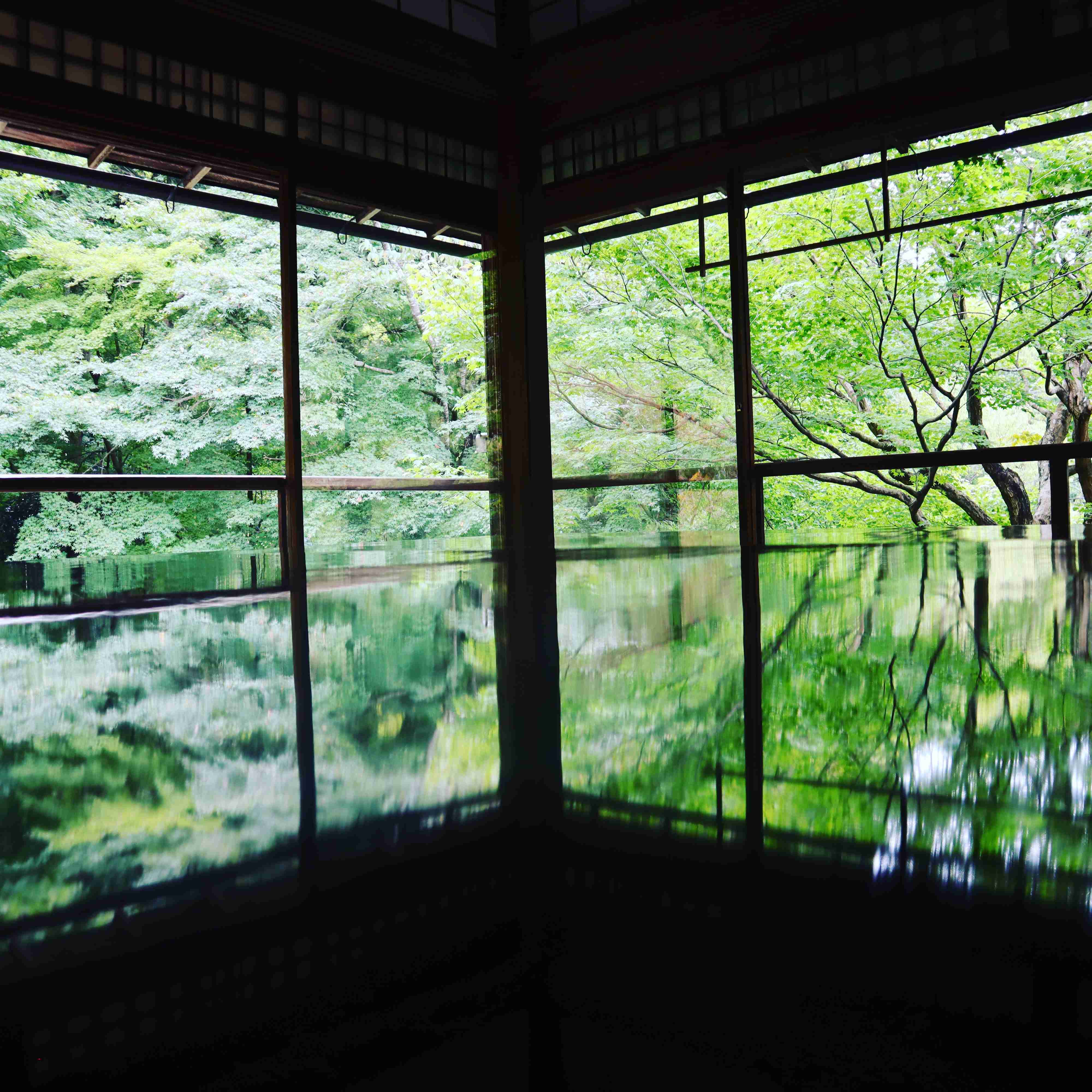 スマホに入ってる旅先の写真見せてください