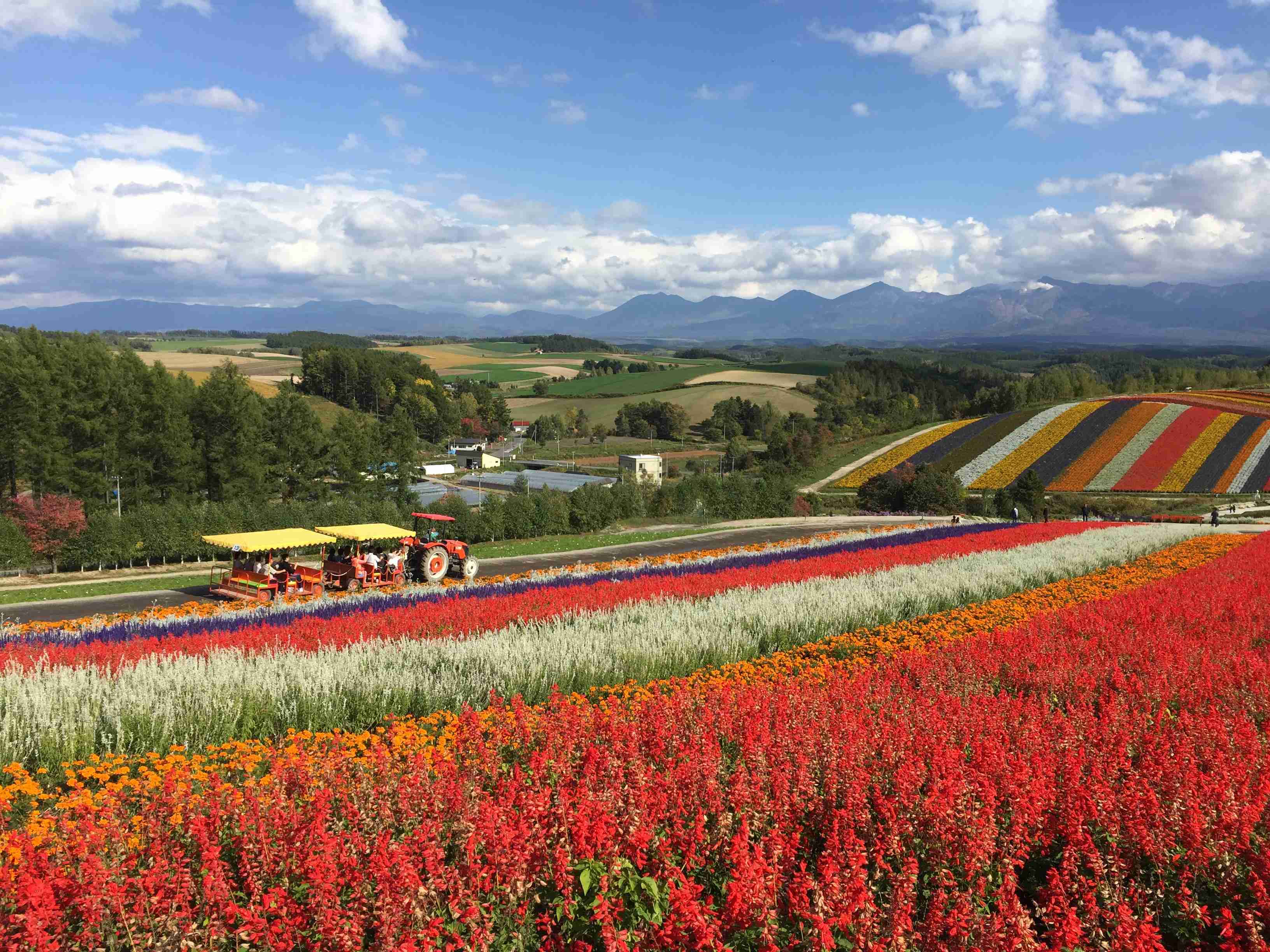 スマホに入ってる旅先の写真見せてください