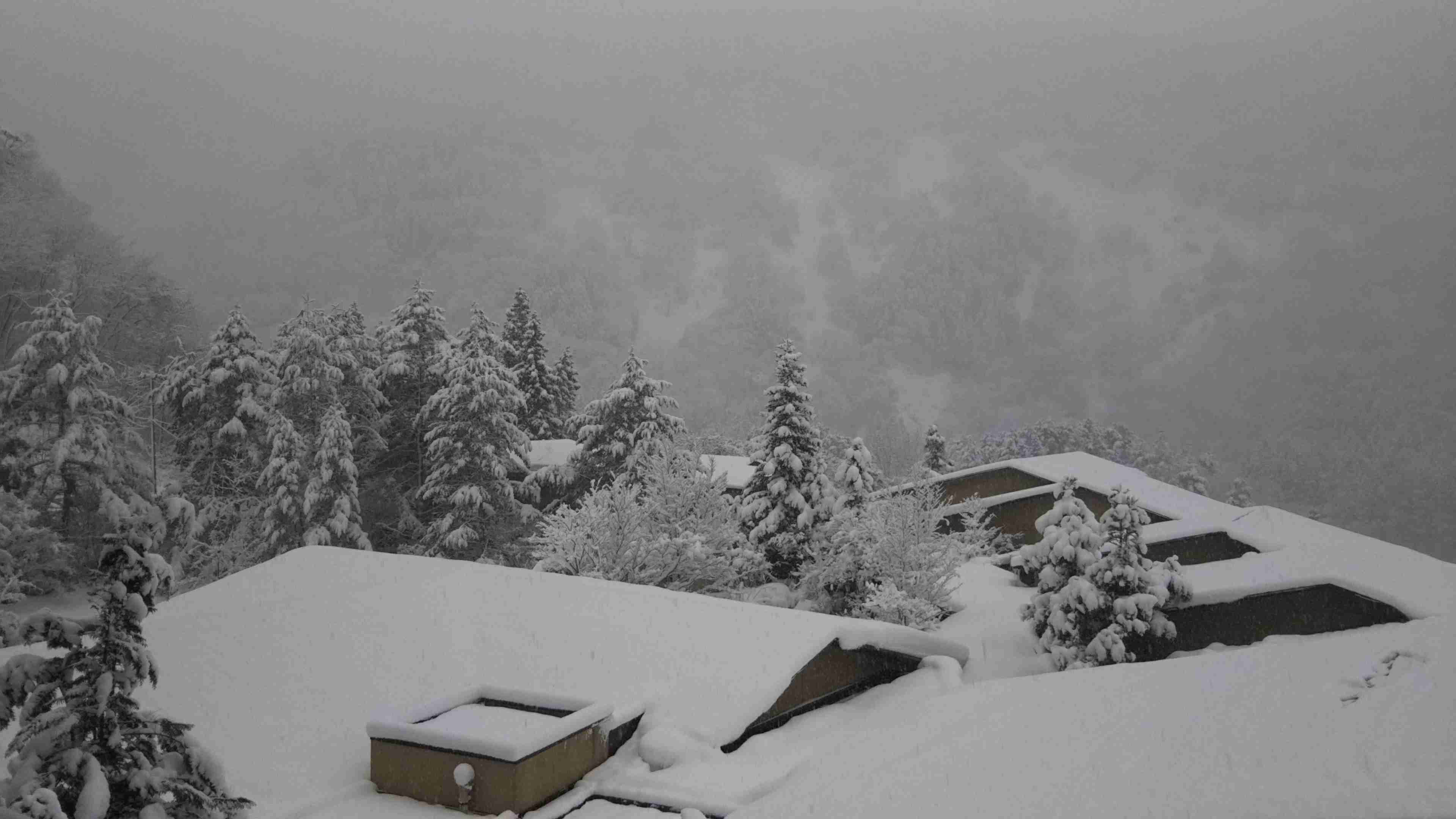 スマホに入ってる旅先の写真見せてください