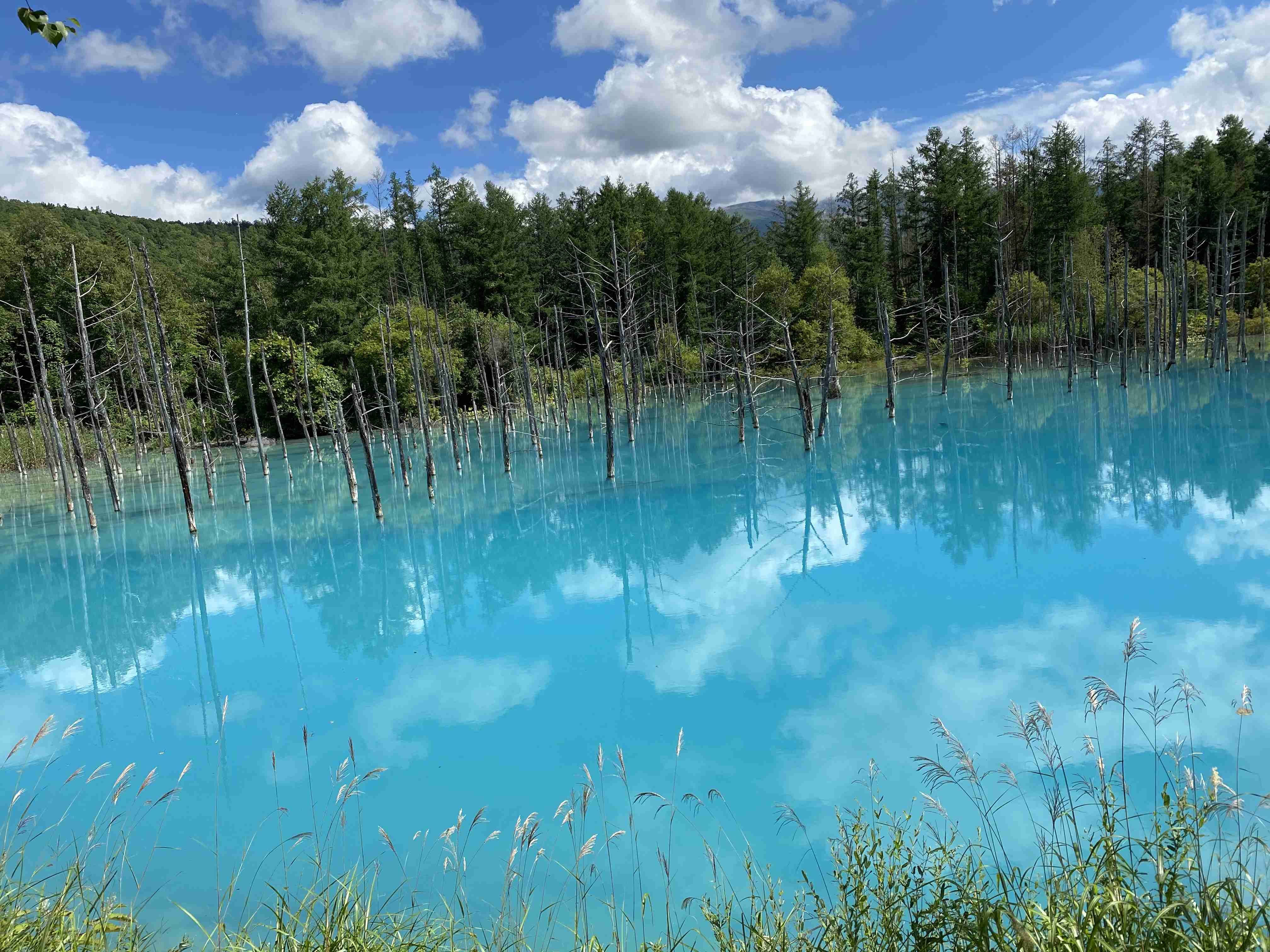 スマホに入ってる旅先の写真見せてください