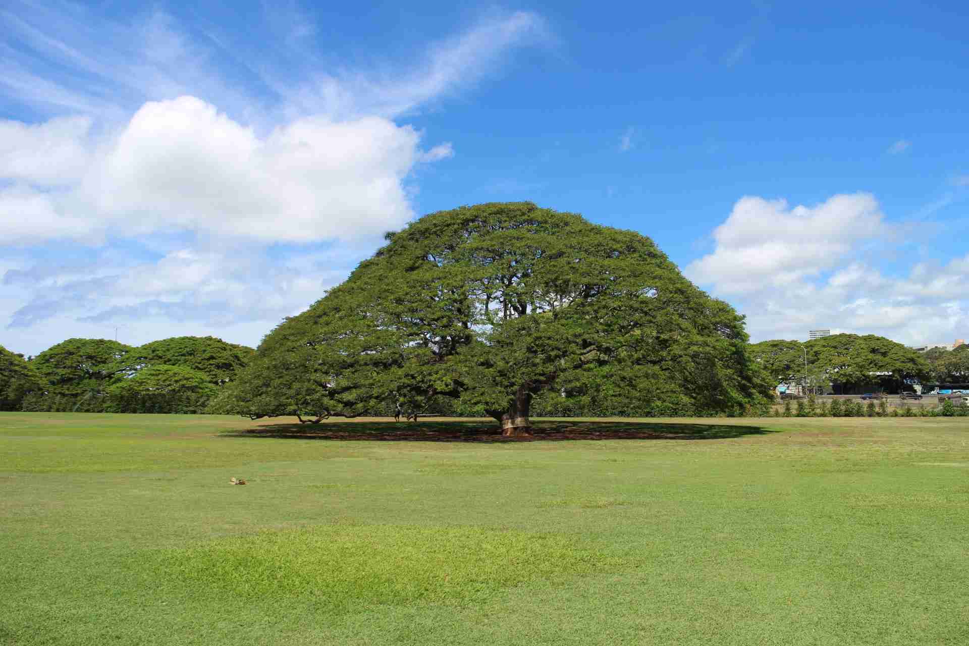 スマホに入ってる旅先の写真見せてください