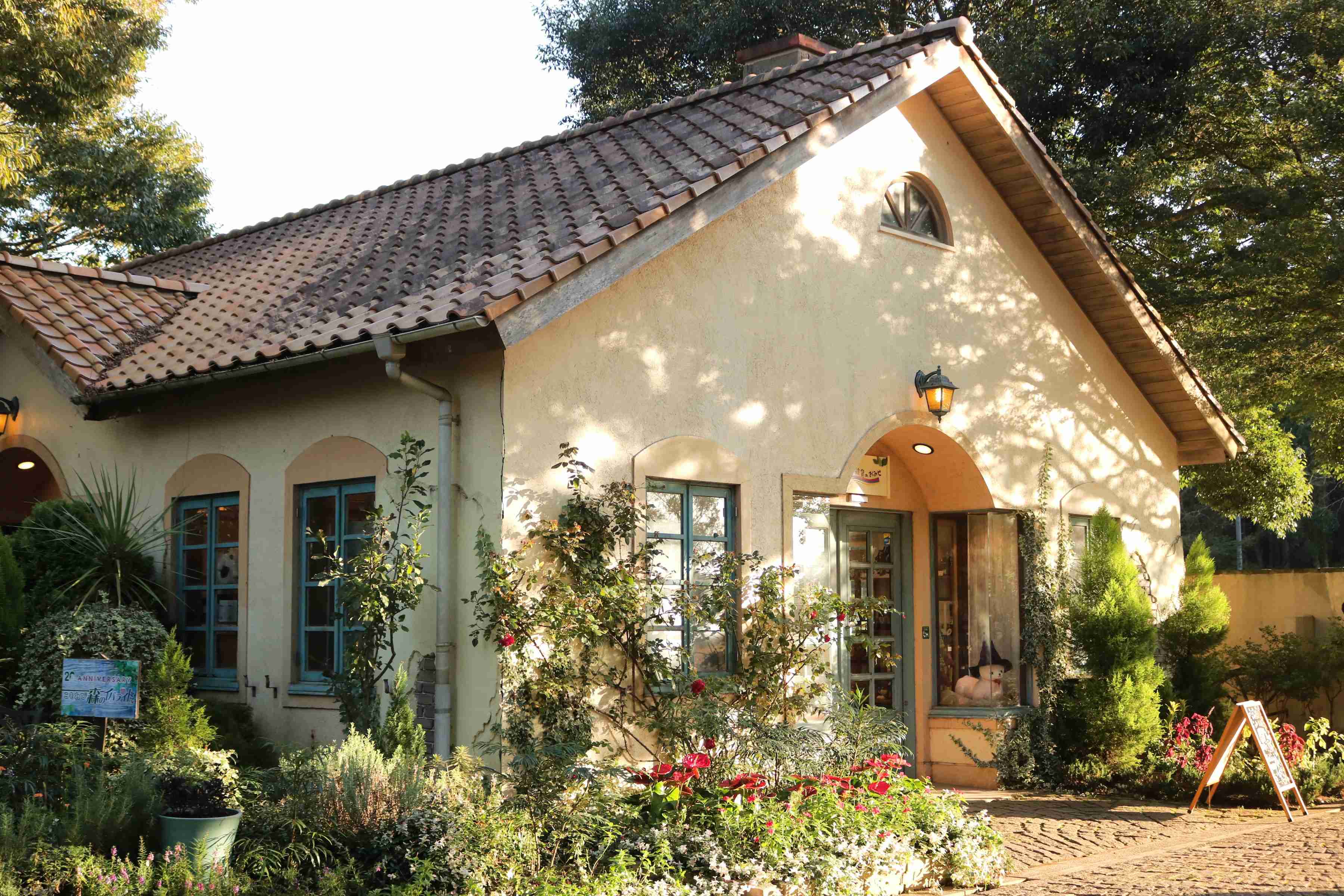 スマホに入ってる旅先の写真見せてください