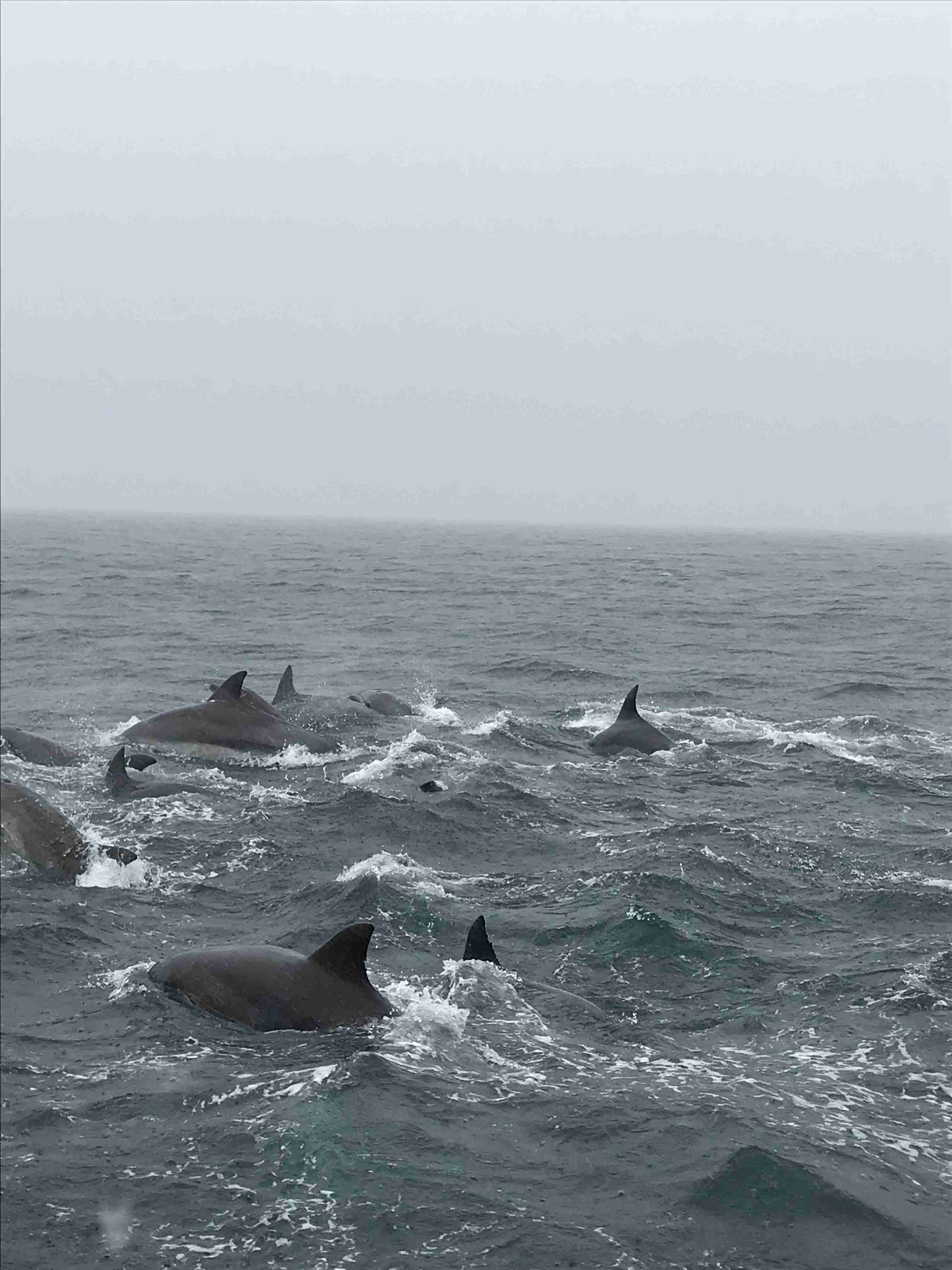 スマホに入ってる旅先の写真見せてください