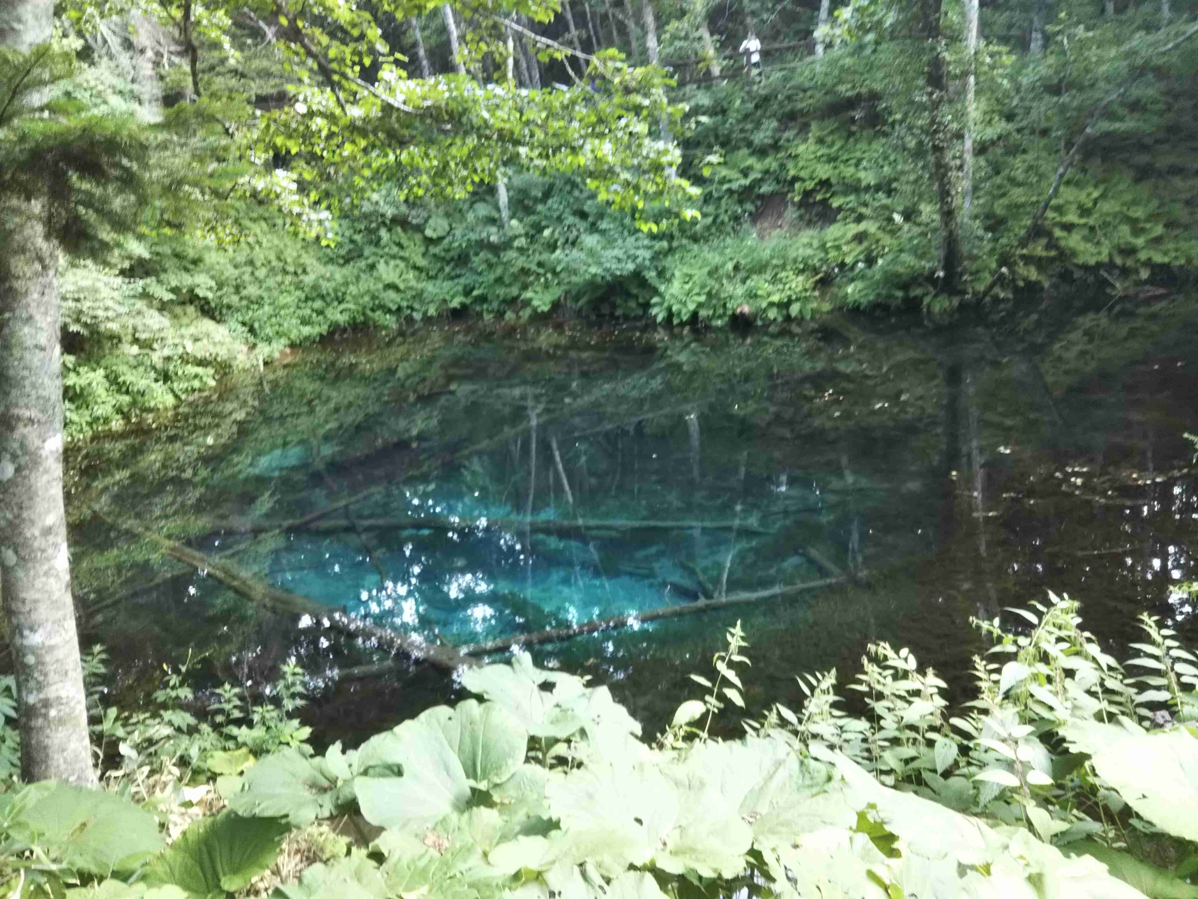 スマホに入ってる旅先の写真見せてください