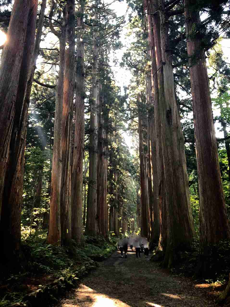 スマホに入ってる旅先の写真見せてください