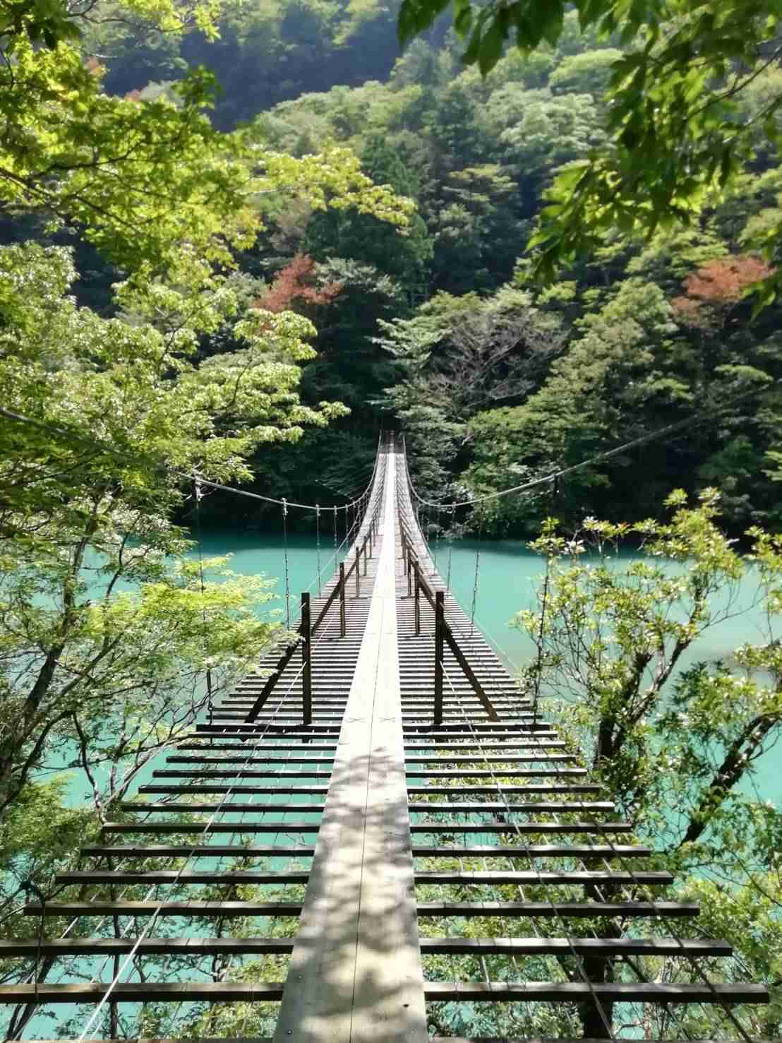 スマホに入ってる旅先の写真見せてください