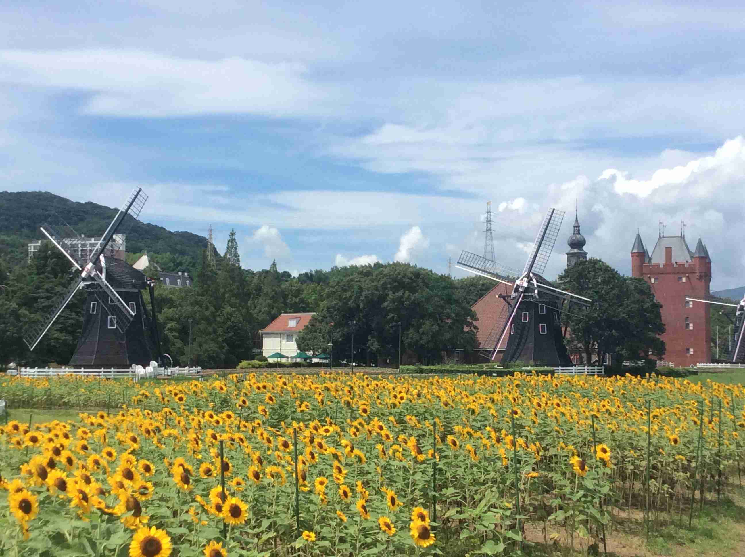 スマホに入ってる旅先の写真見せてください