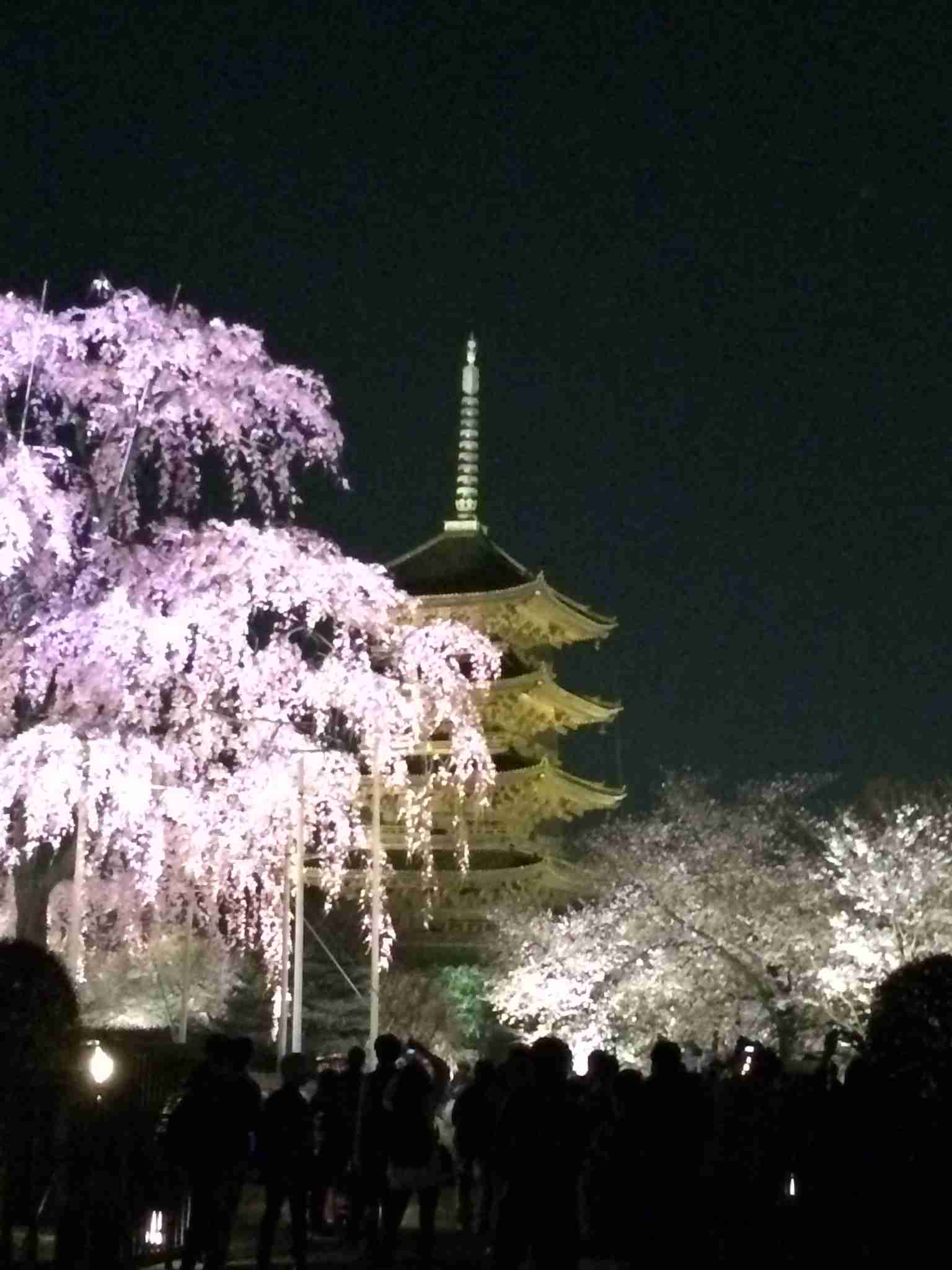 スマホに入ってる旅先の写真見せてください