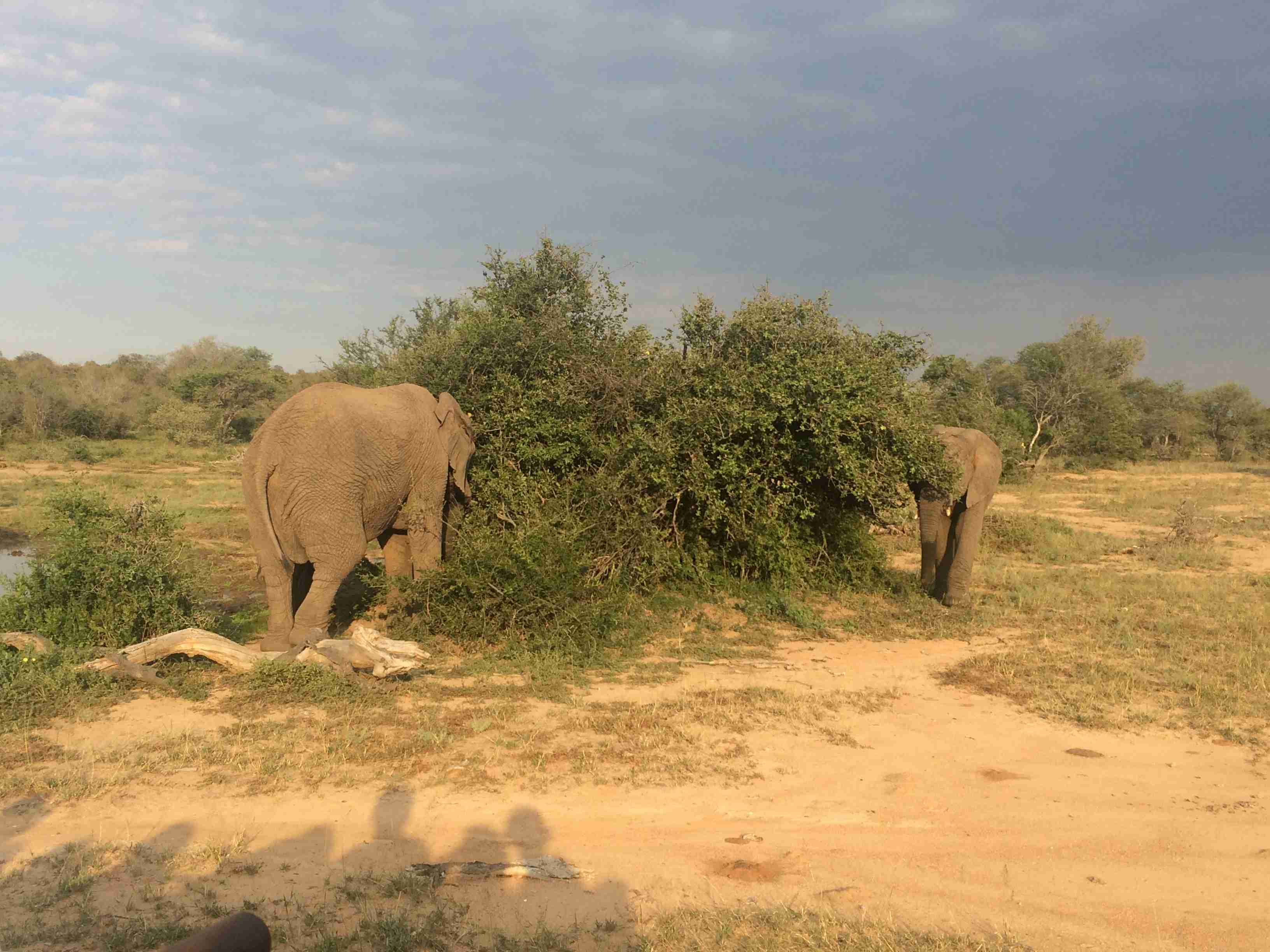 スマホに入ってる旅先の写真見せてください
