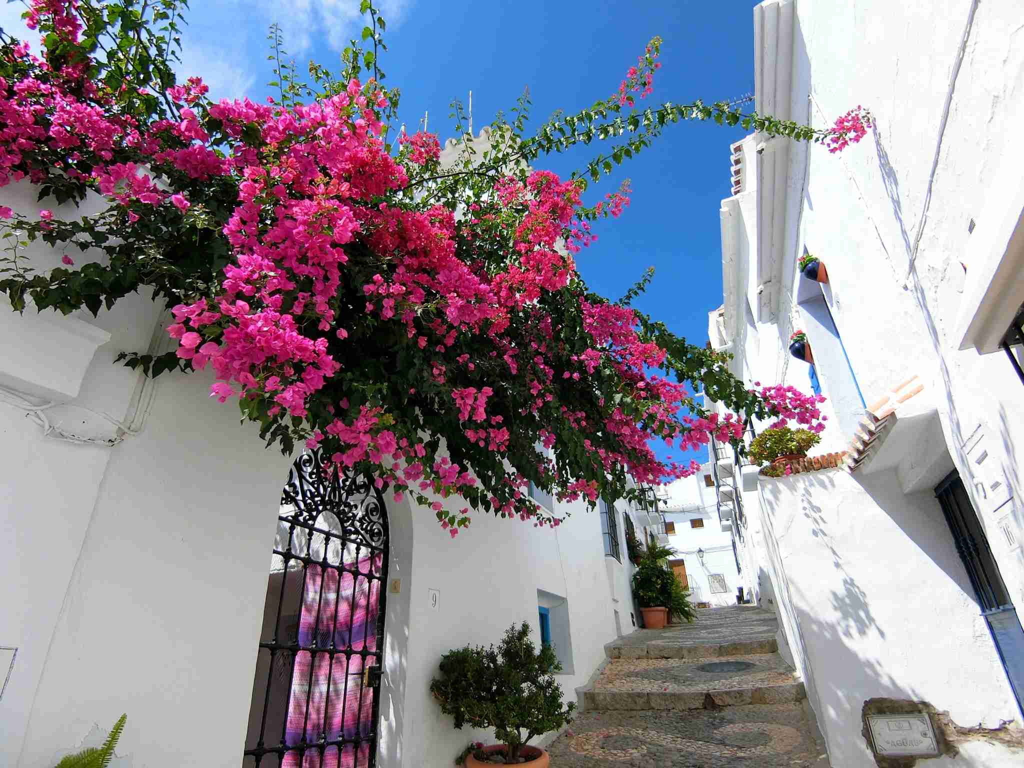 スマホに入ってる旅先の写真見せてください