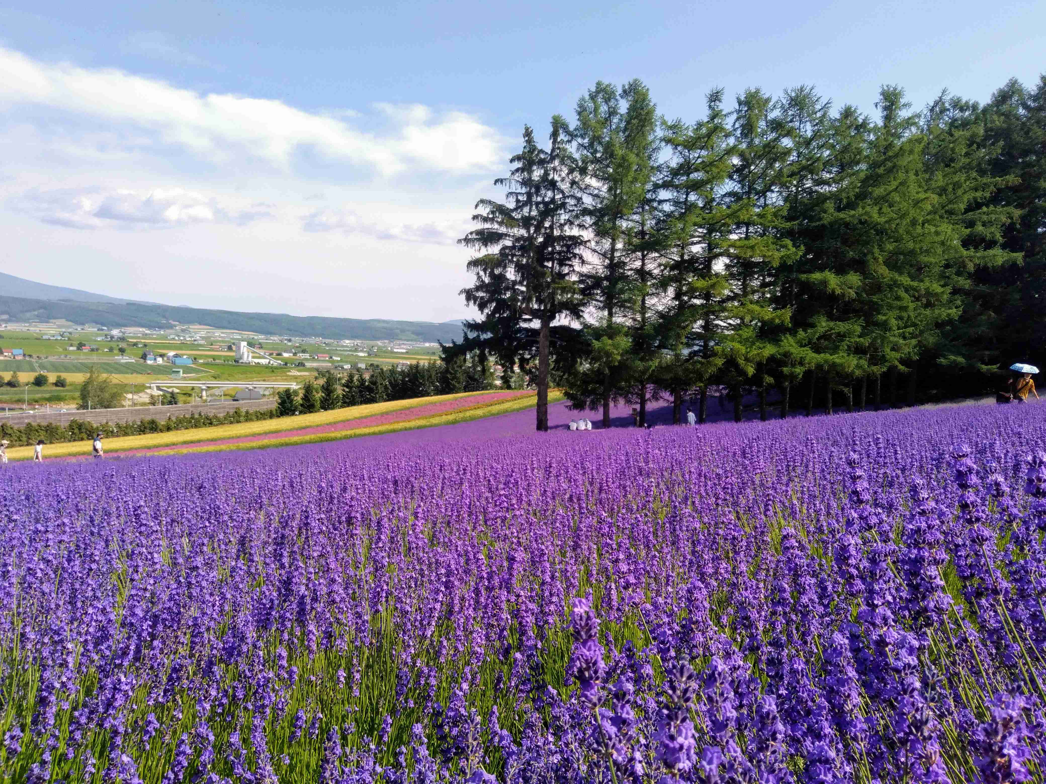 スマホに入ってる旅先の写真見せてください
