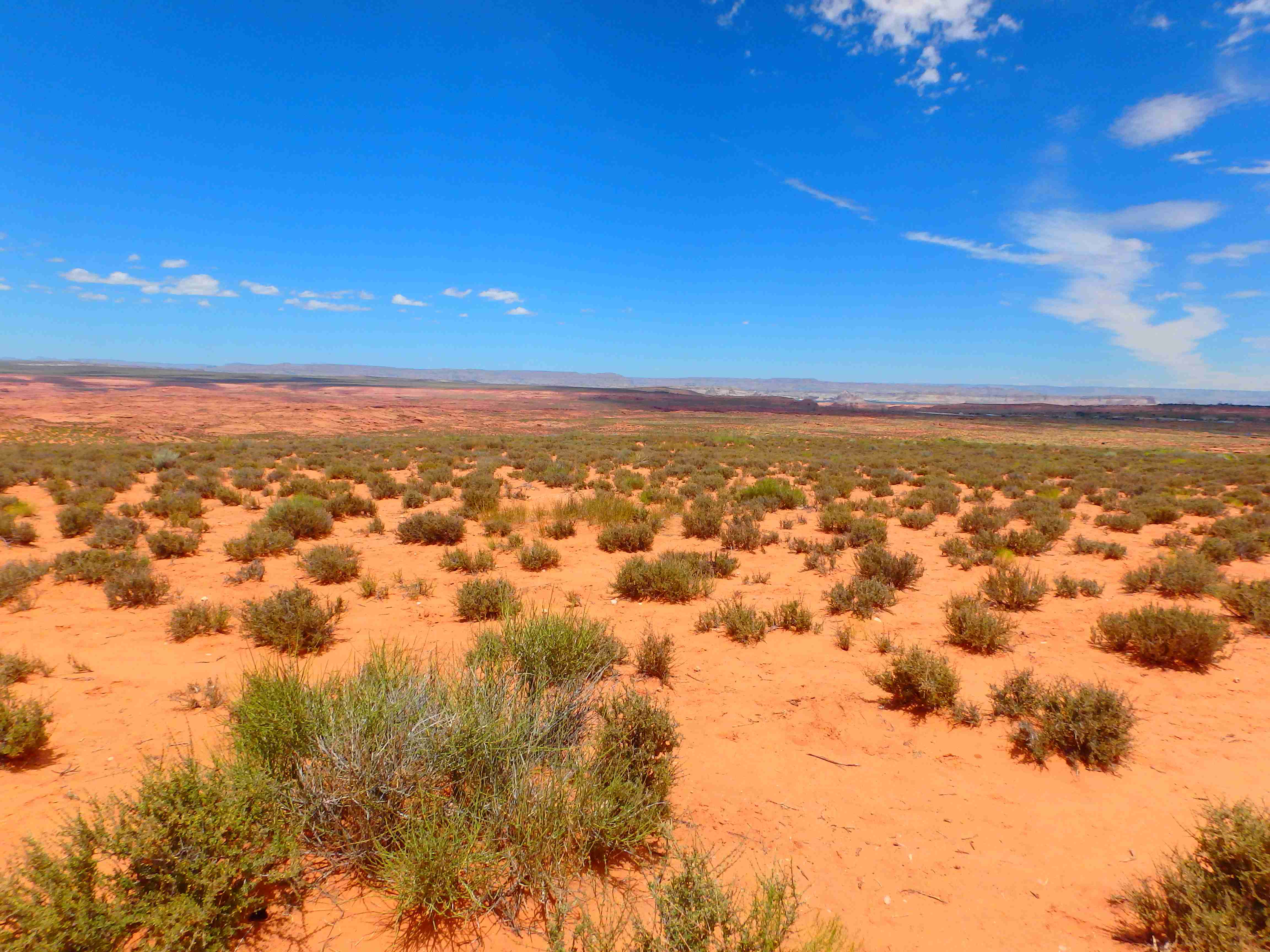 スマホに入ってる旅先の写真見せてください