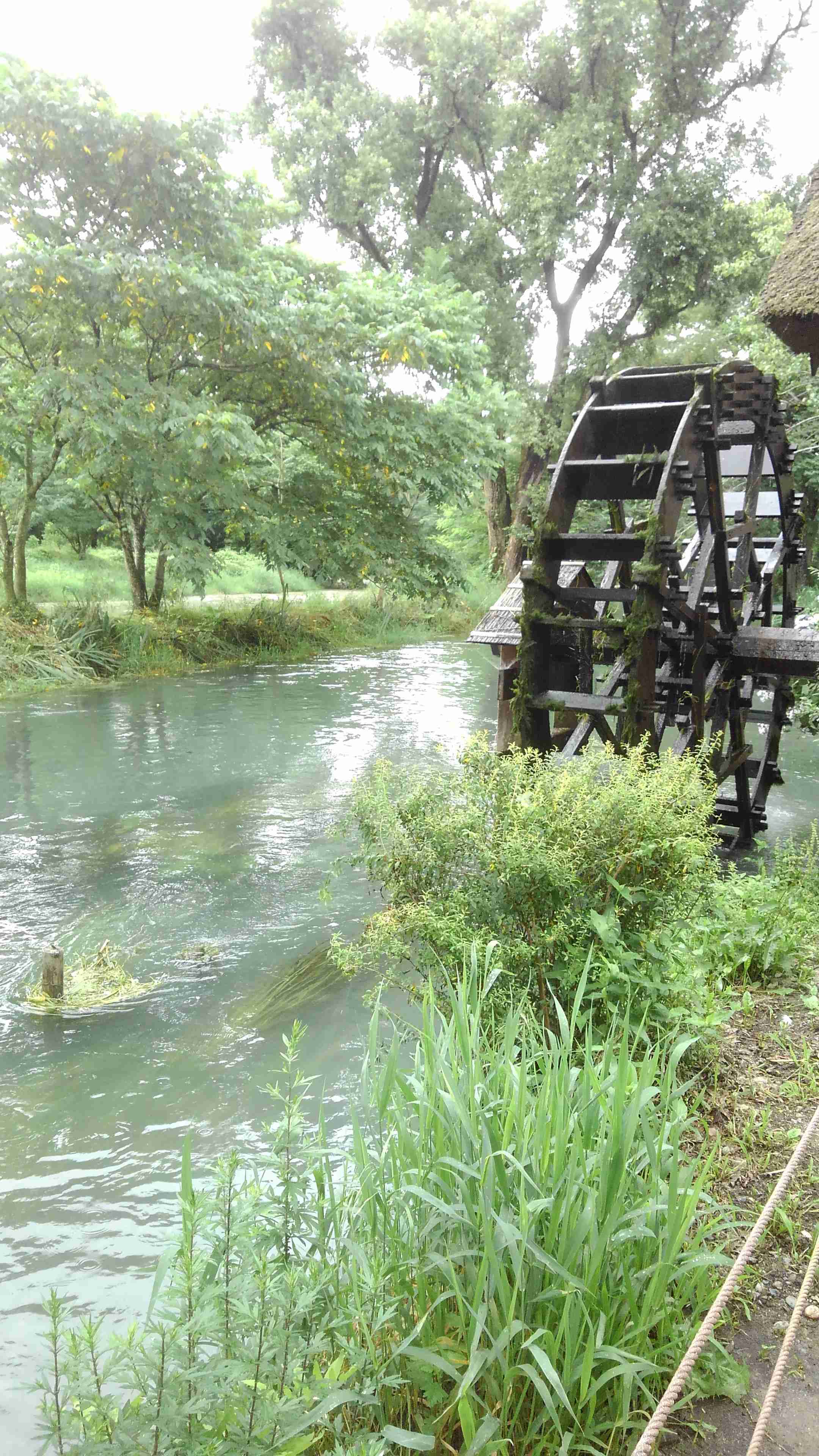 スマホに入ってる旅先の写真見せてください