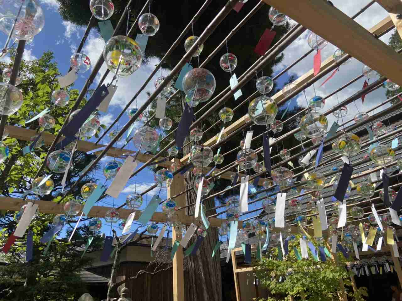 スマホに入ってる旅先の写真見せてください