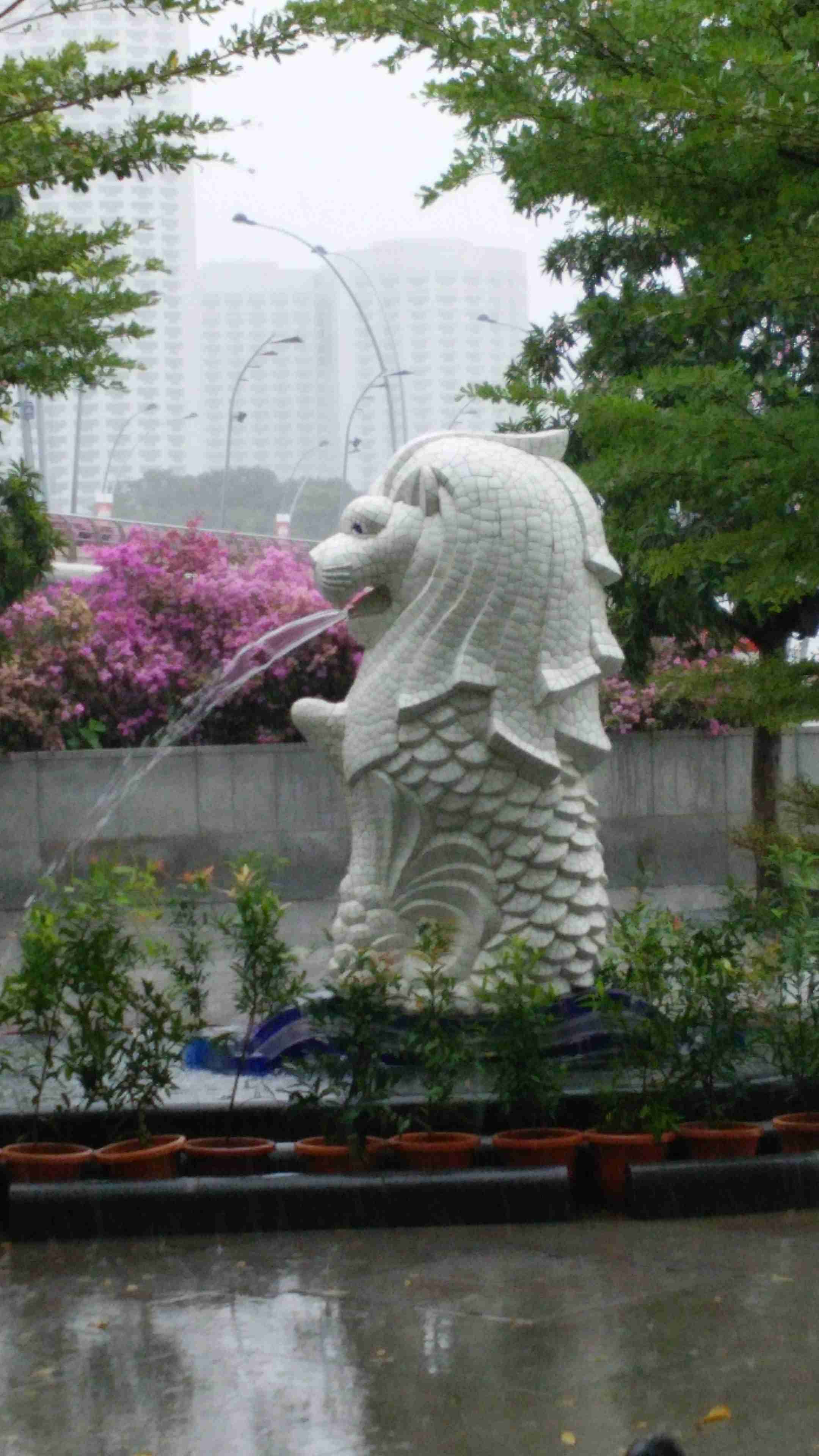 スマホに入ってる旅先の写真見せてください