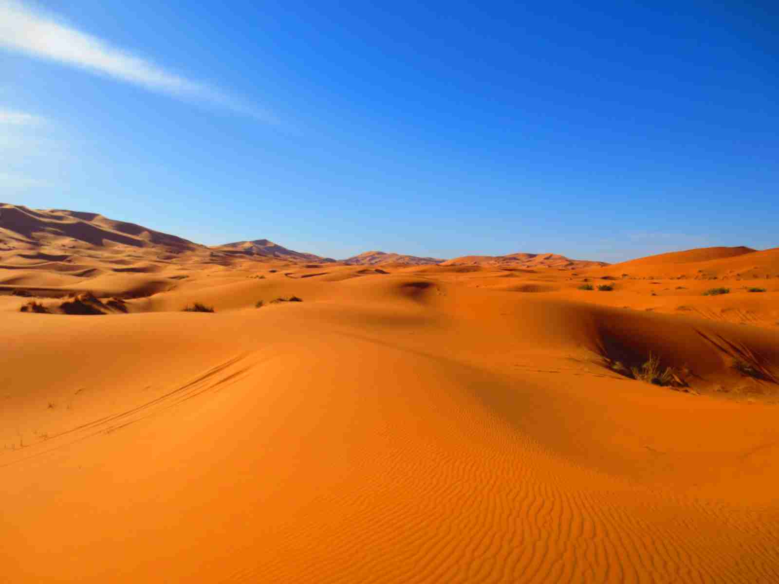 スマホに入ってる旅先の写真見せてください