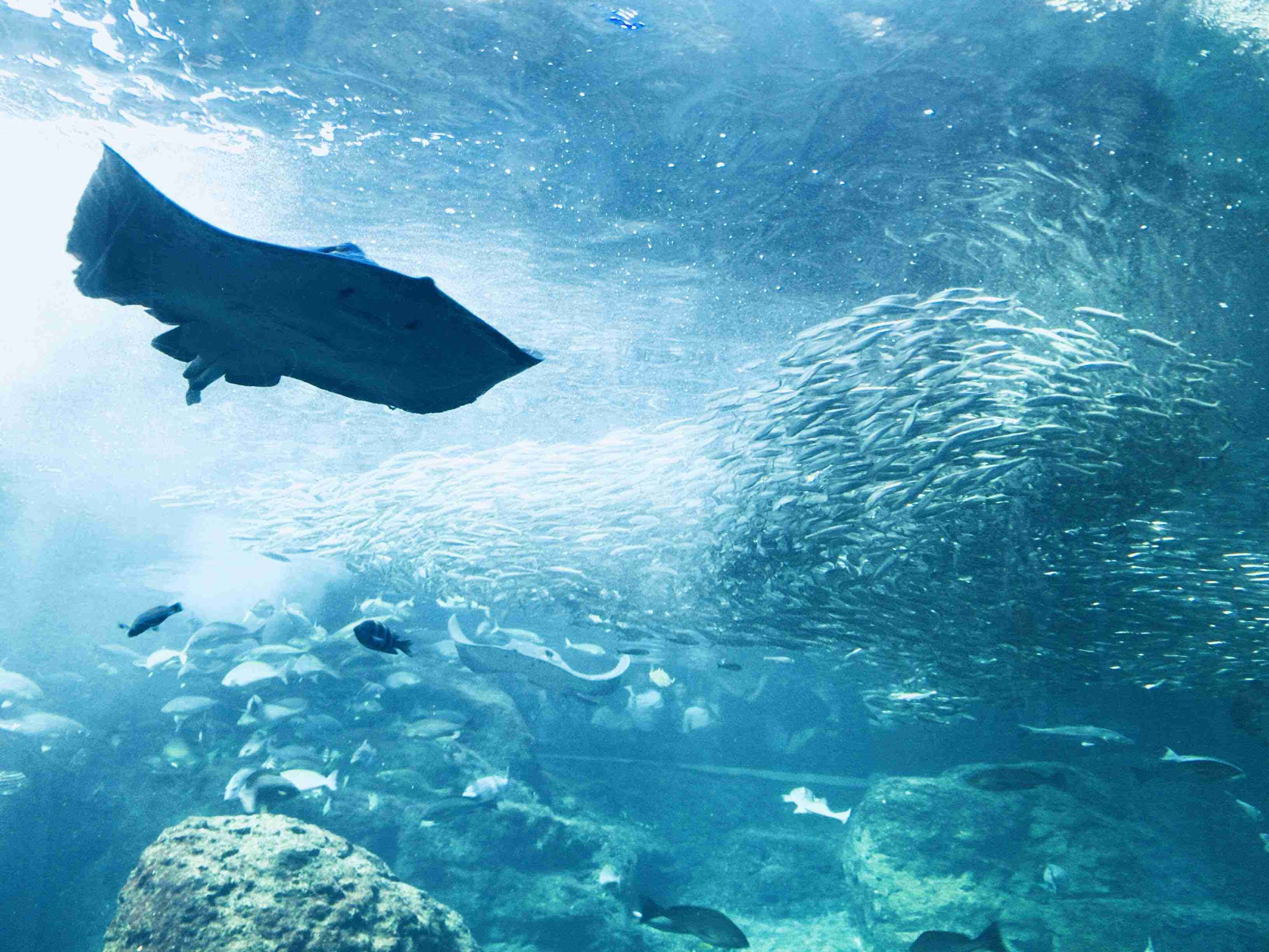 スマホに入ってる旅先の写真見せてください