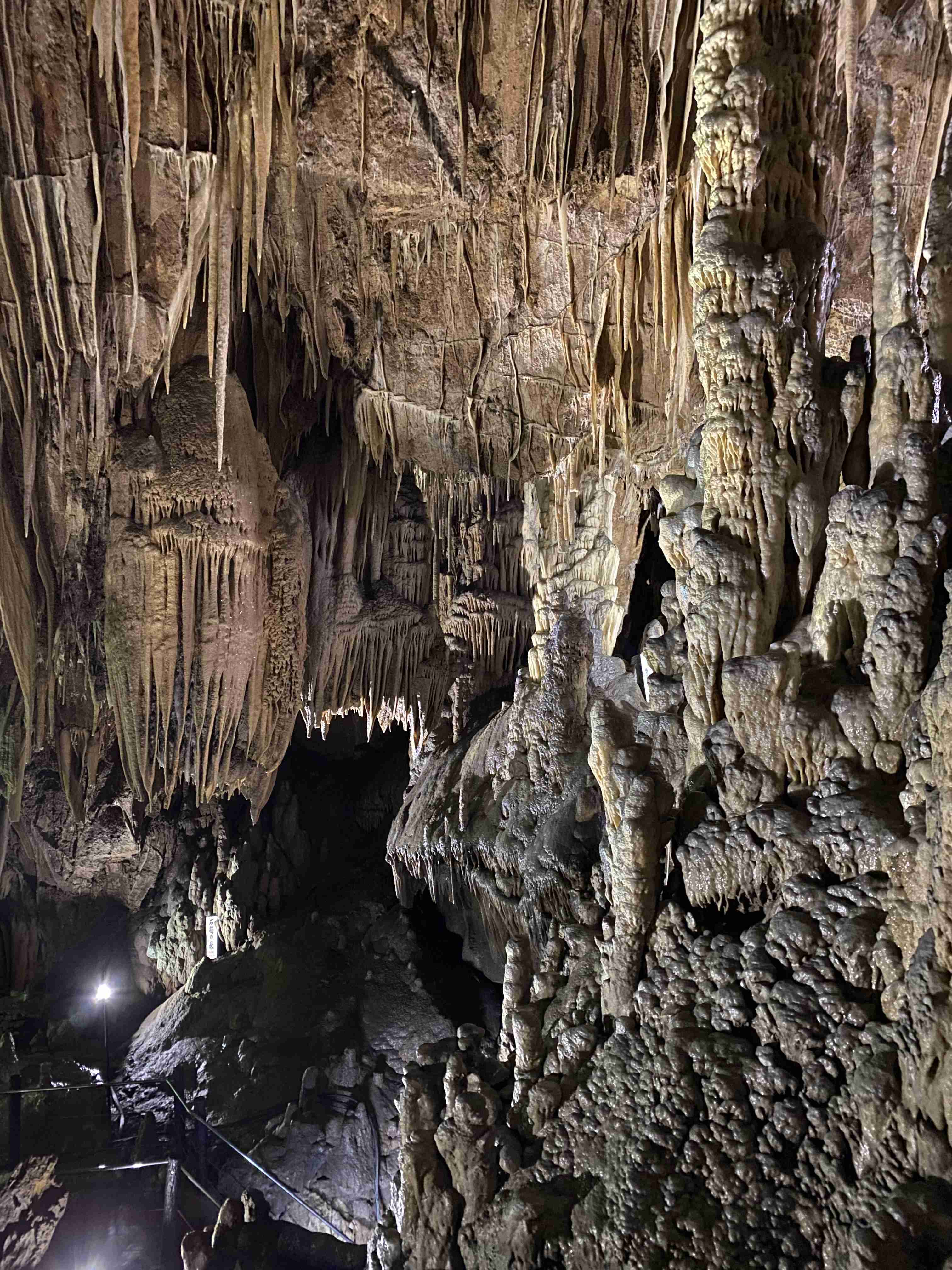 スマホに入ってる旅先の写真見せてください