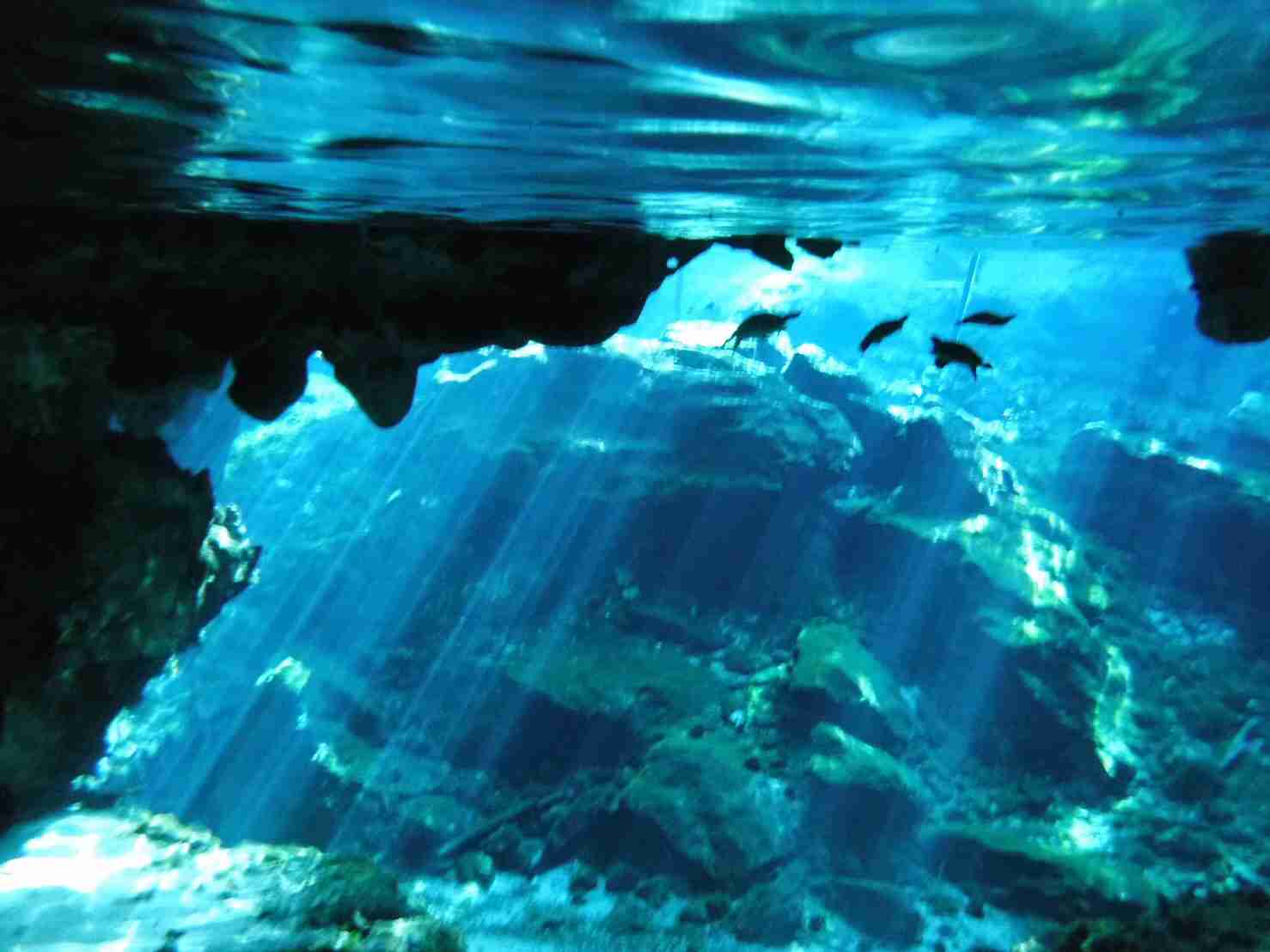 スマホに入ってる旅先の写真見せてください