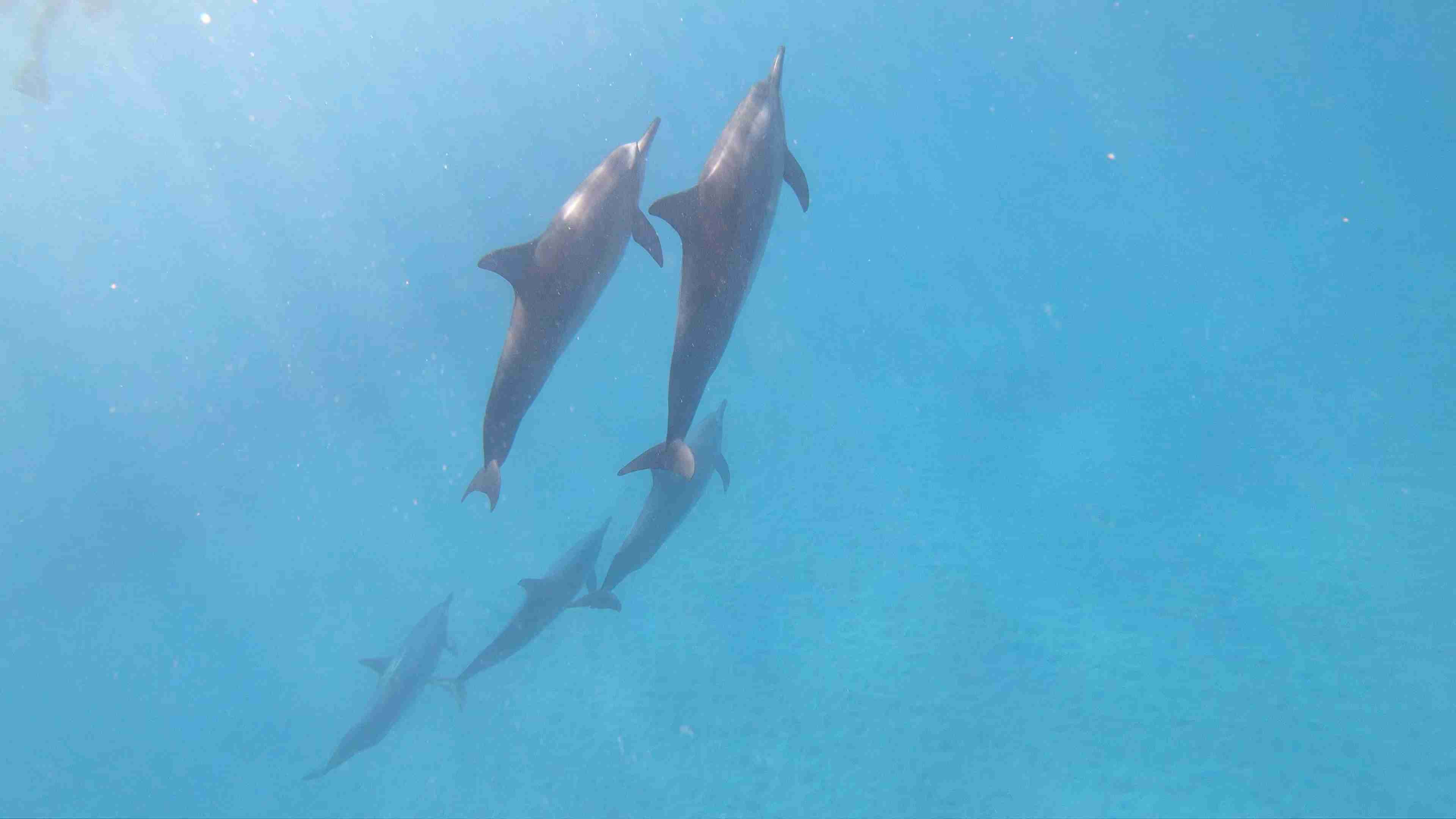 スマホに入ってる旅先の写真見せてください