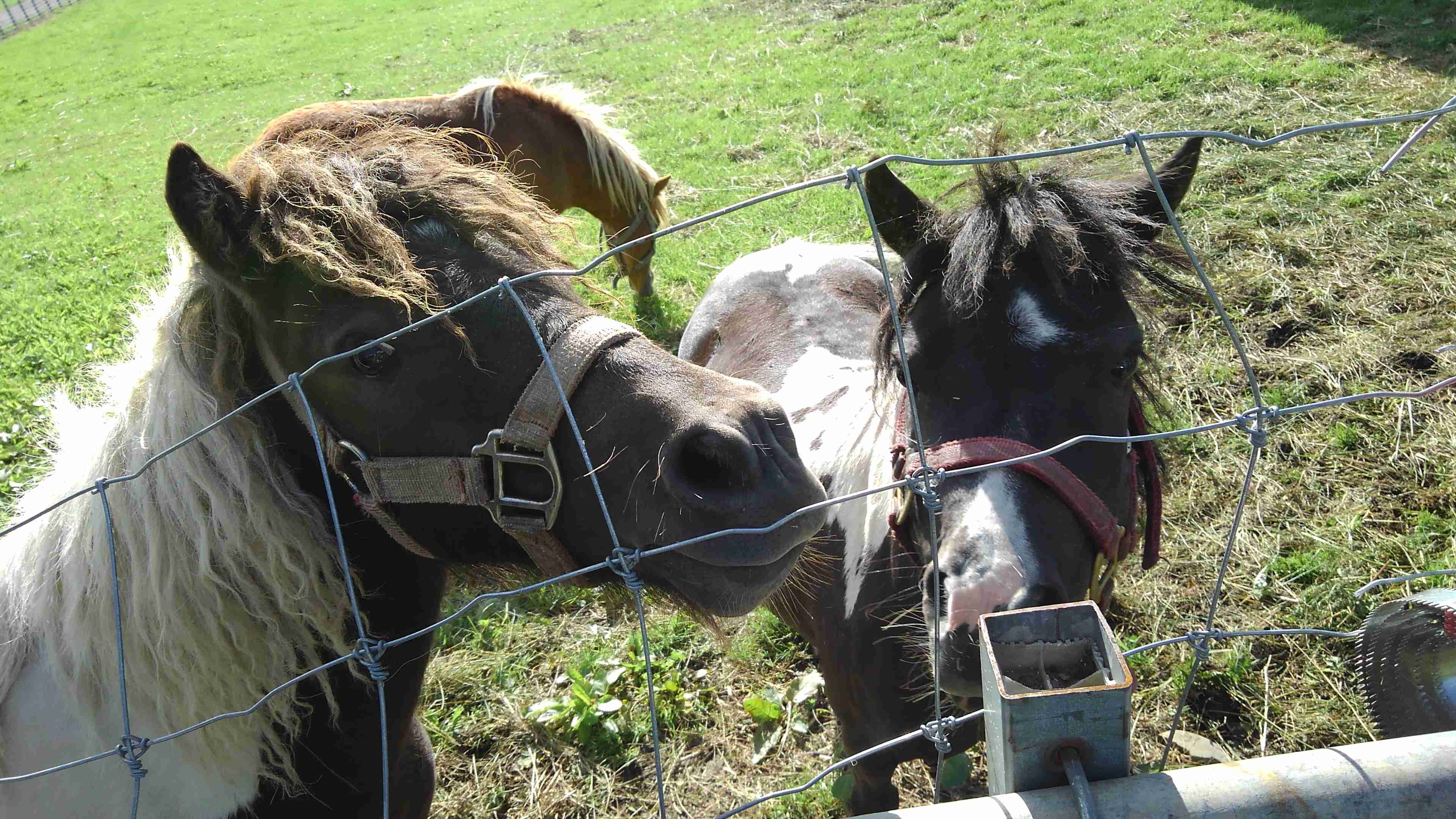 スマホに入ってる旅先の写真見せてください