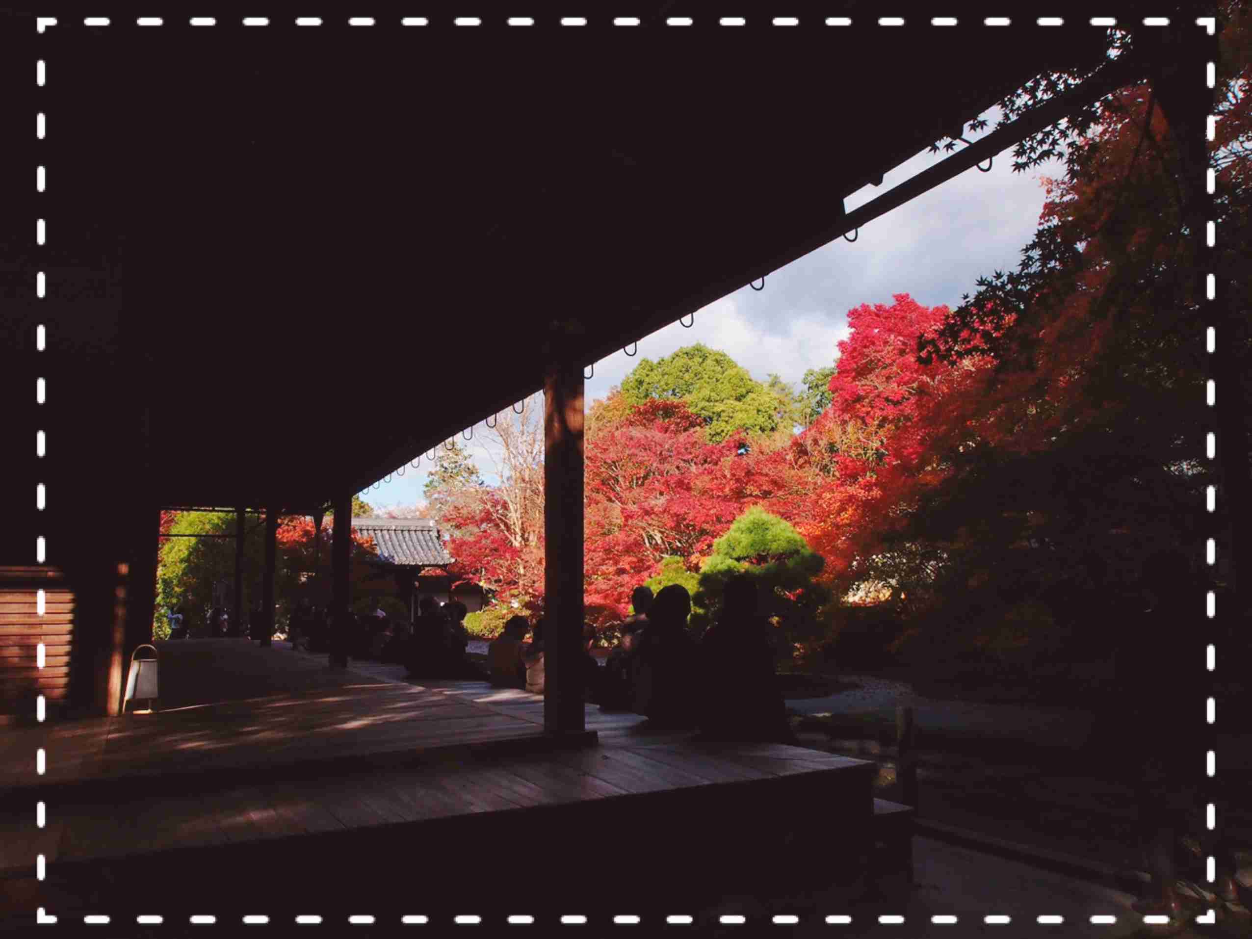 スマホに入ってる旅先の写真見せてください