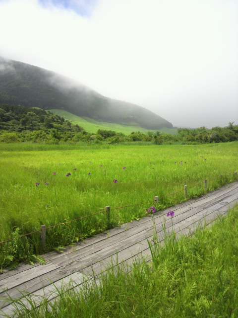 スマホに入ってる旅先の写真見せてください