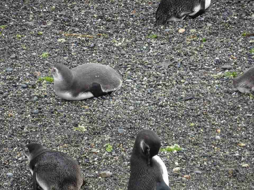 スマホに入ってる旅先の写真見せてください