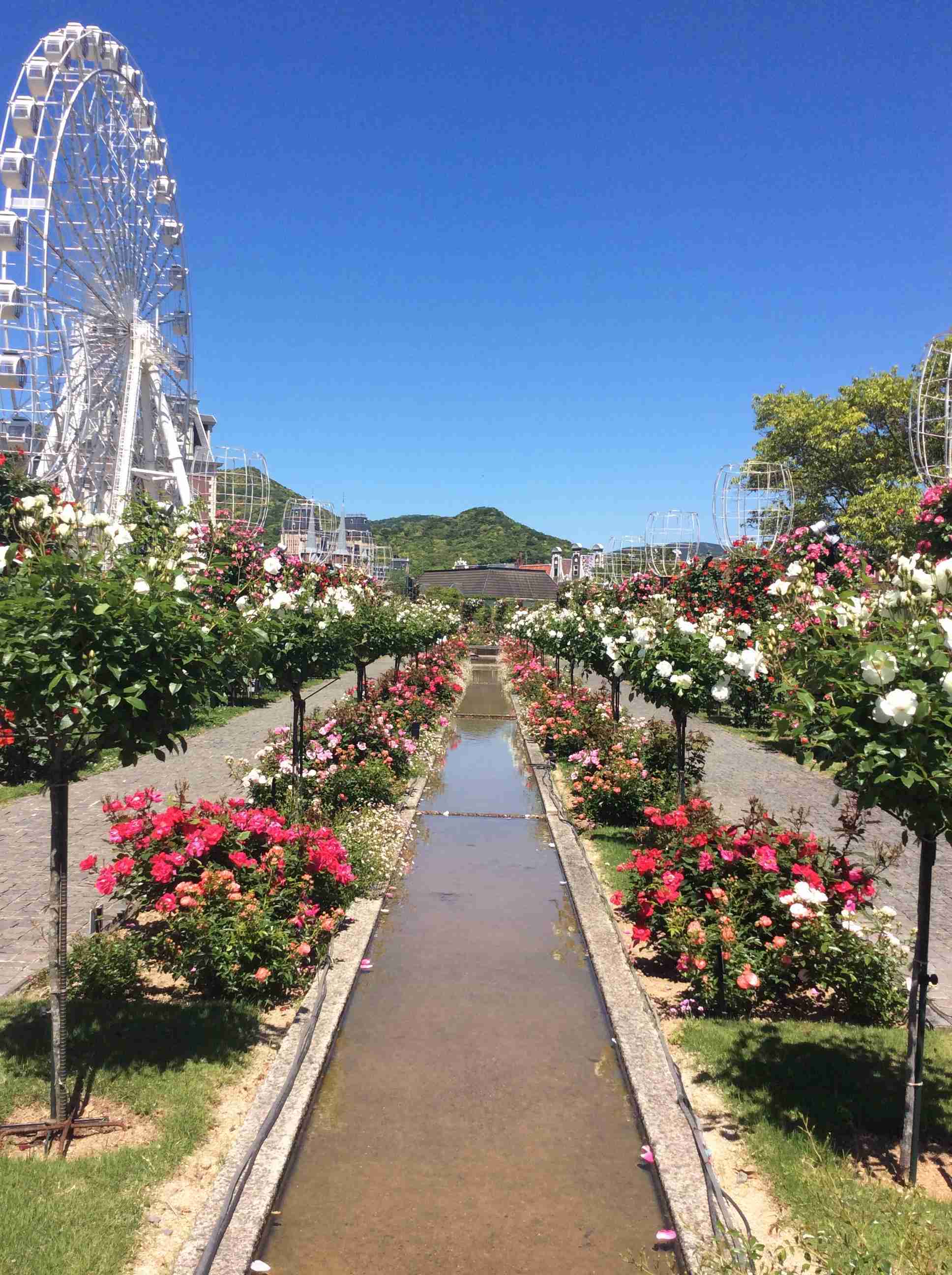 スマホに入ってる旅先の写真見せてください