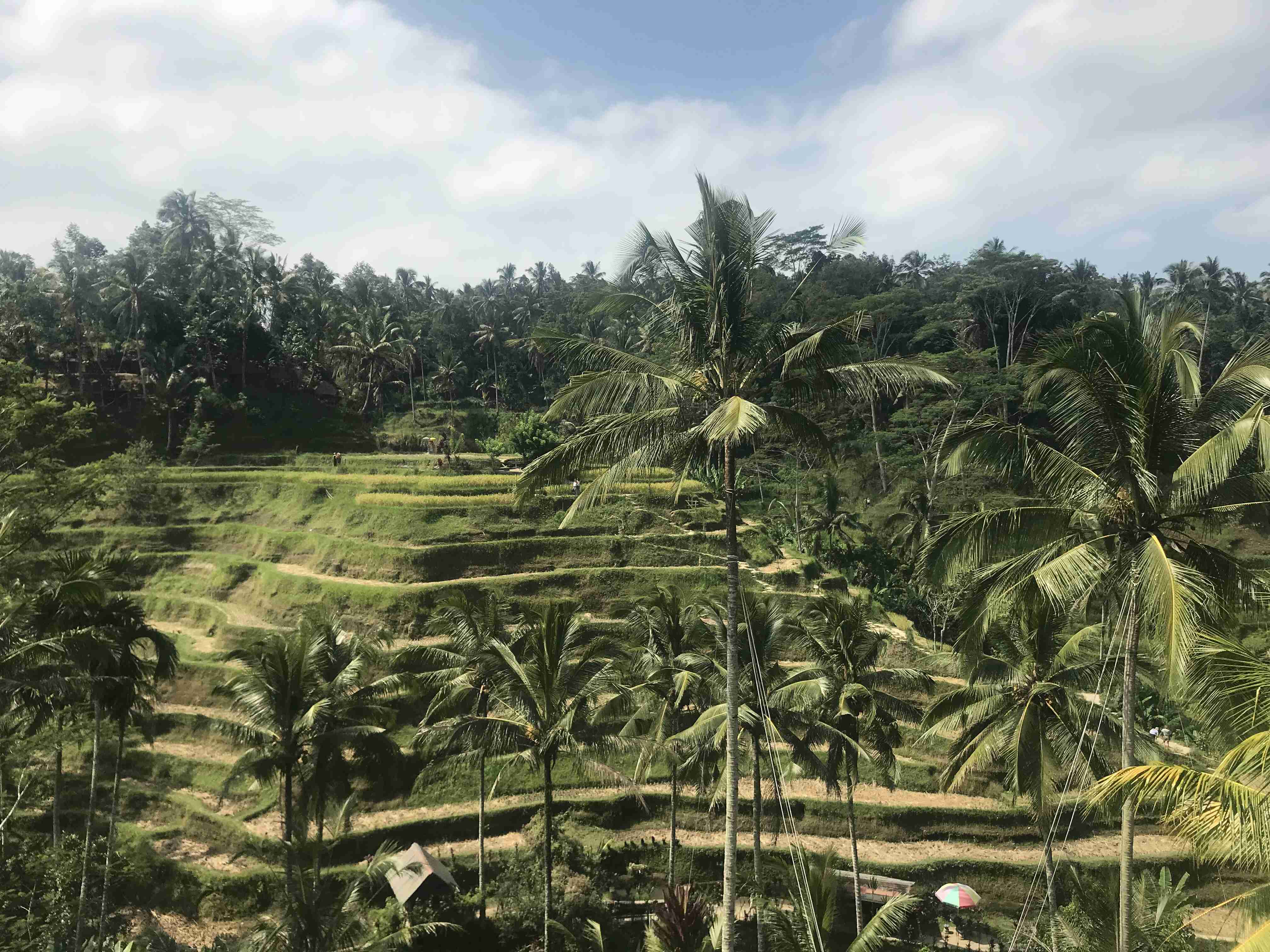 スマホに入ってる旅先の写真見せてください