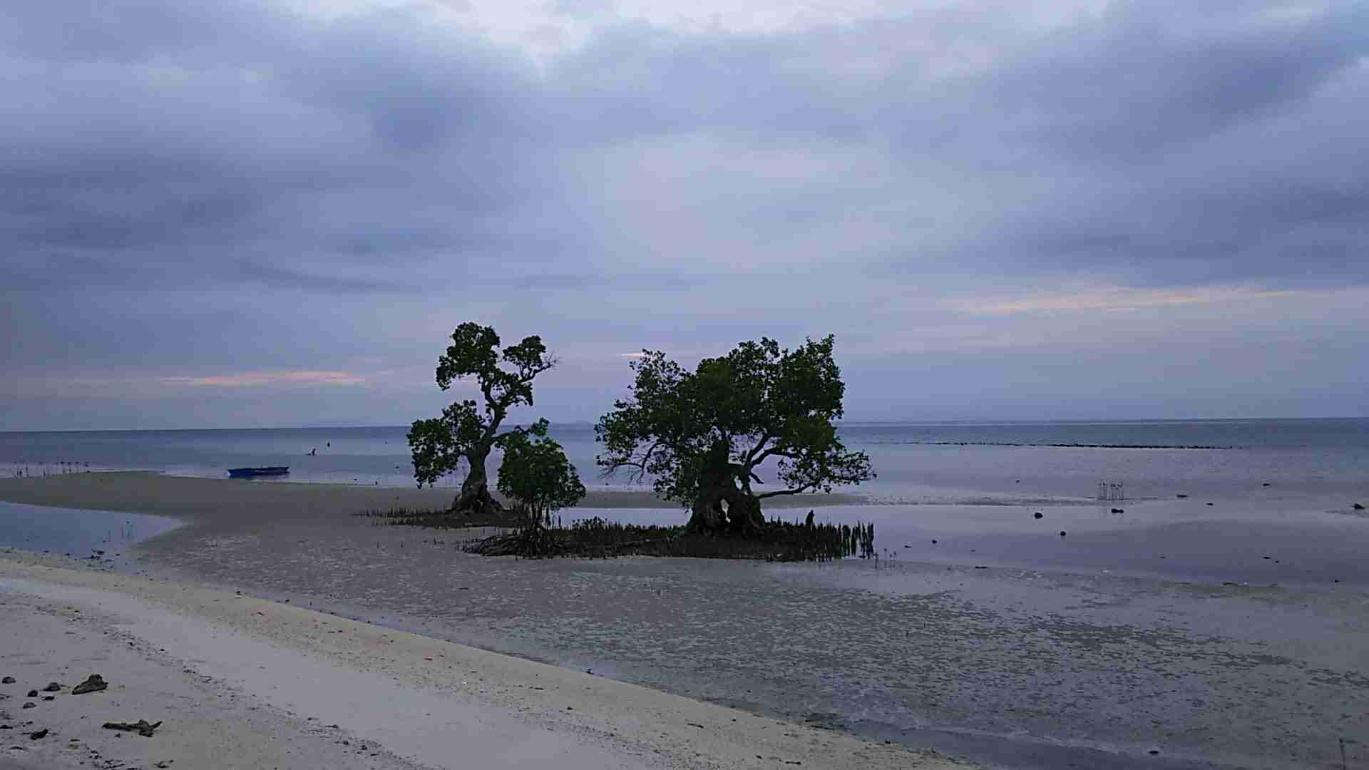 スマホに入ってる旅先の写真見せてください