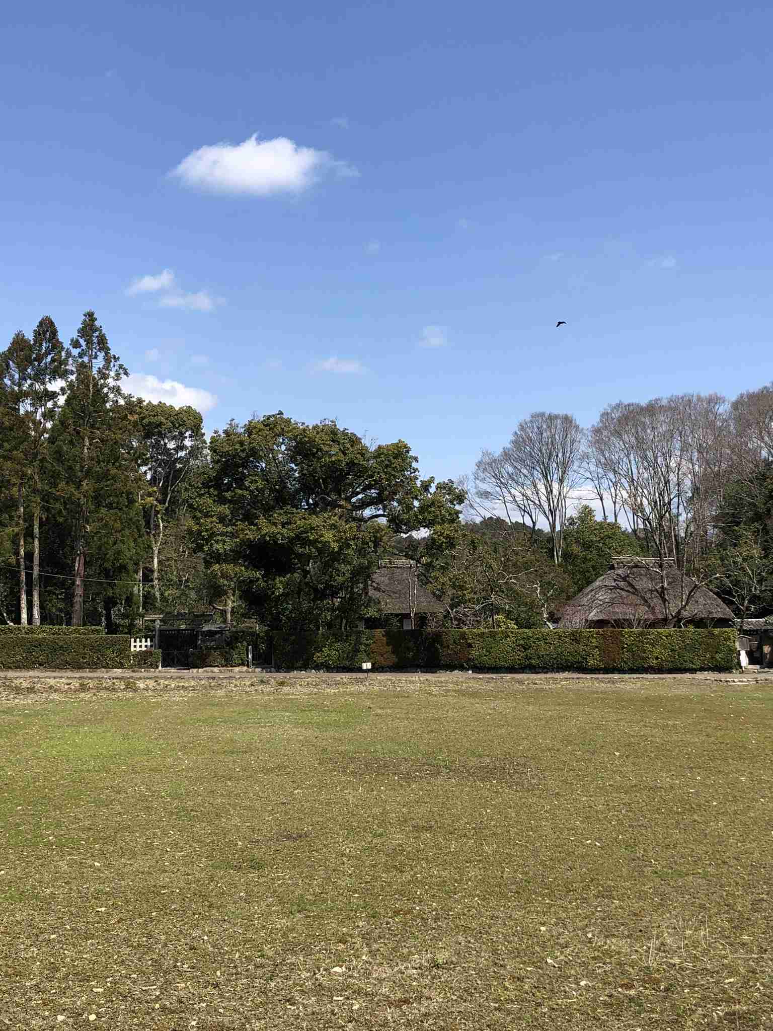 スマホに入ってる旅先の写真見せてください