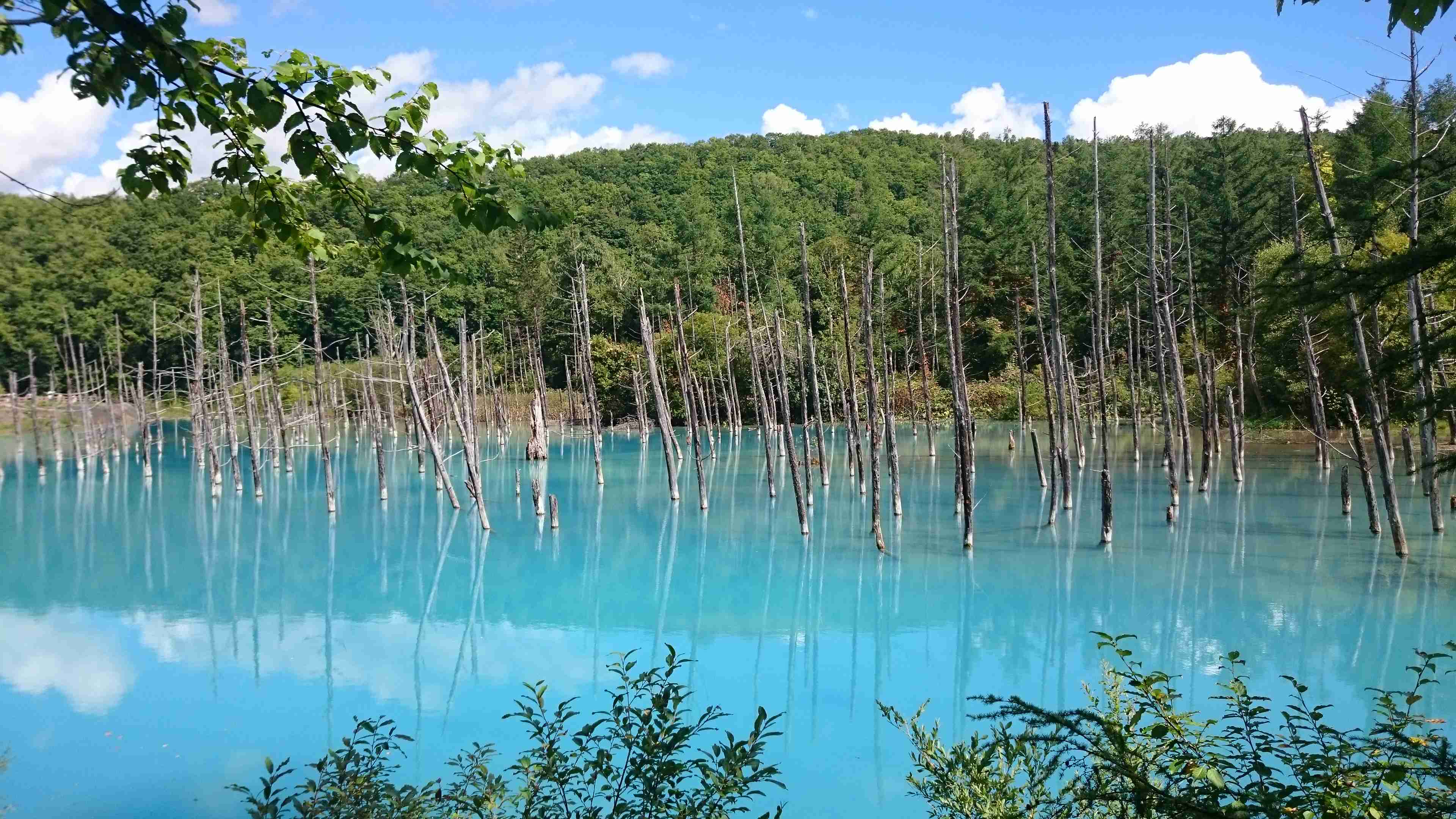 スマホに入ってる旅先の写真見せてください