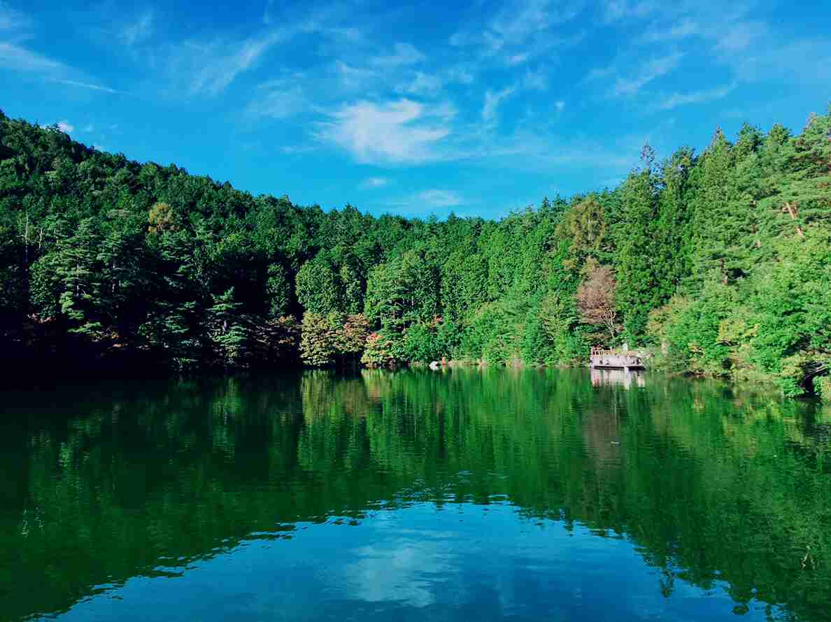 スマホに入ってる旅先の写真見せてください